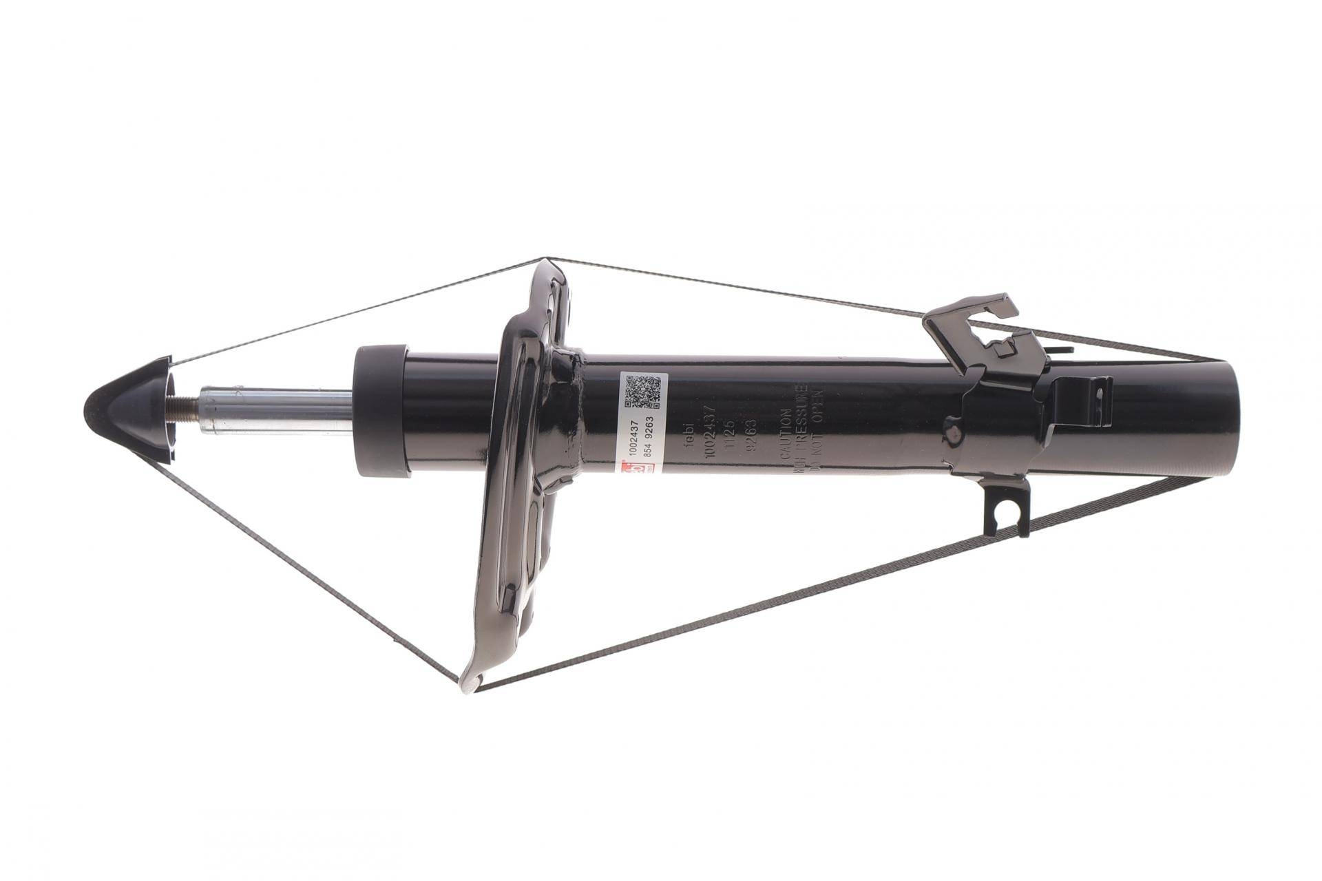 Амортизатор (передній) Nissan Qashqai II 13-/ Renault Kadjar 15- (R)