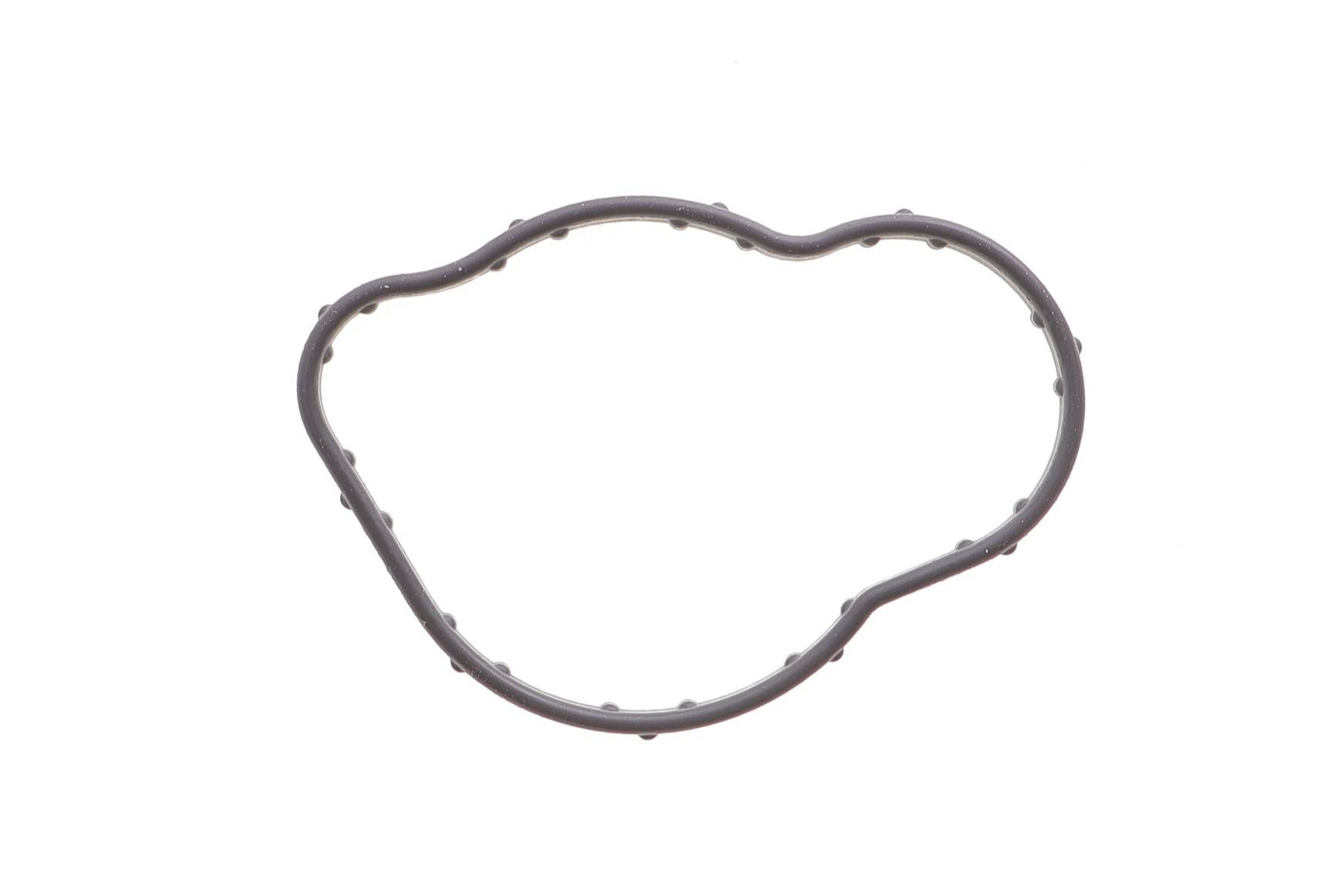 Прокладка термостата Renault Kangoo II 08-