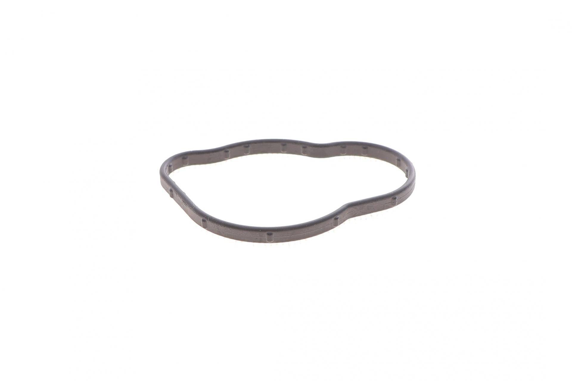 Прокладка термостата Renault Kangoo II 08-