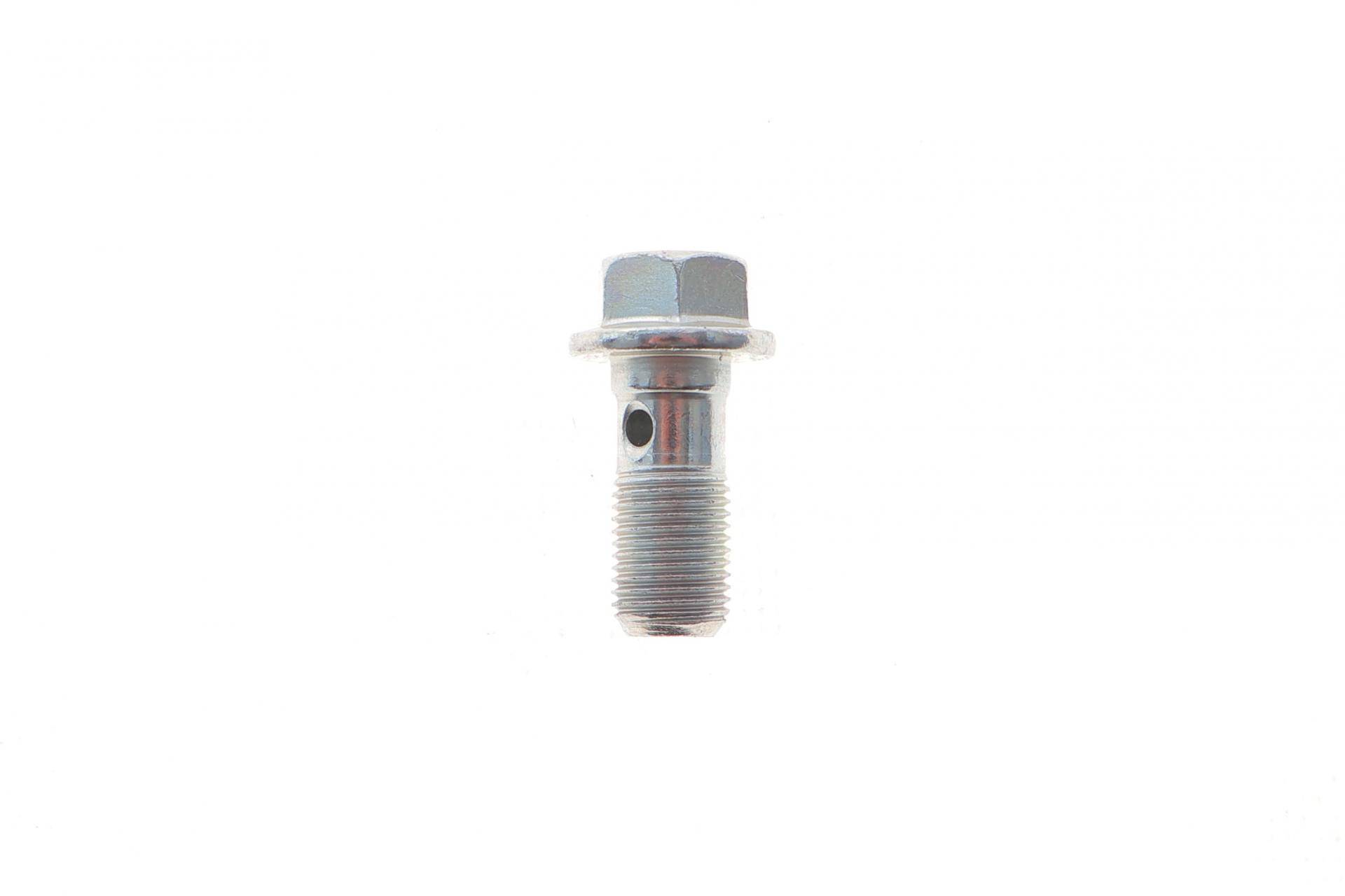 Болт Banjo (банжо) M10x1mm (12x31.4) (к-кт 10шт)