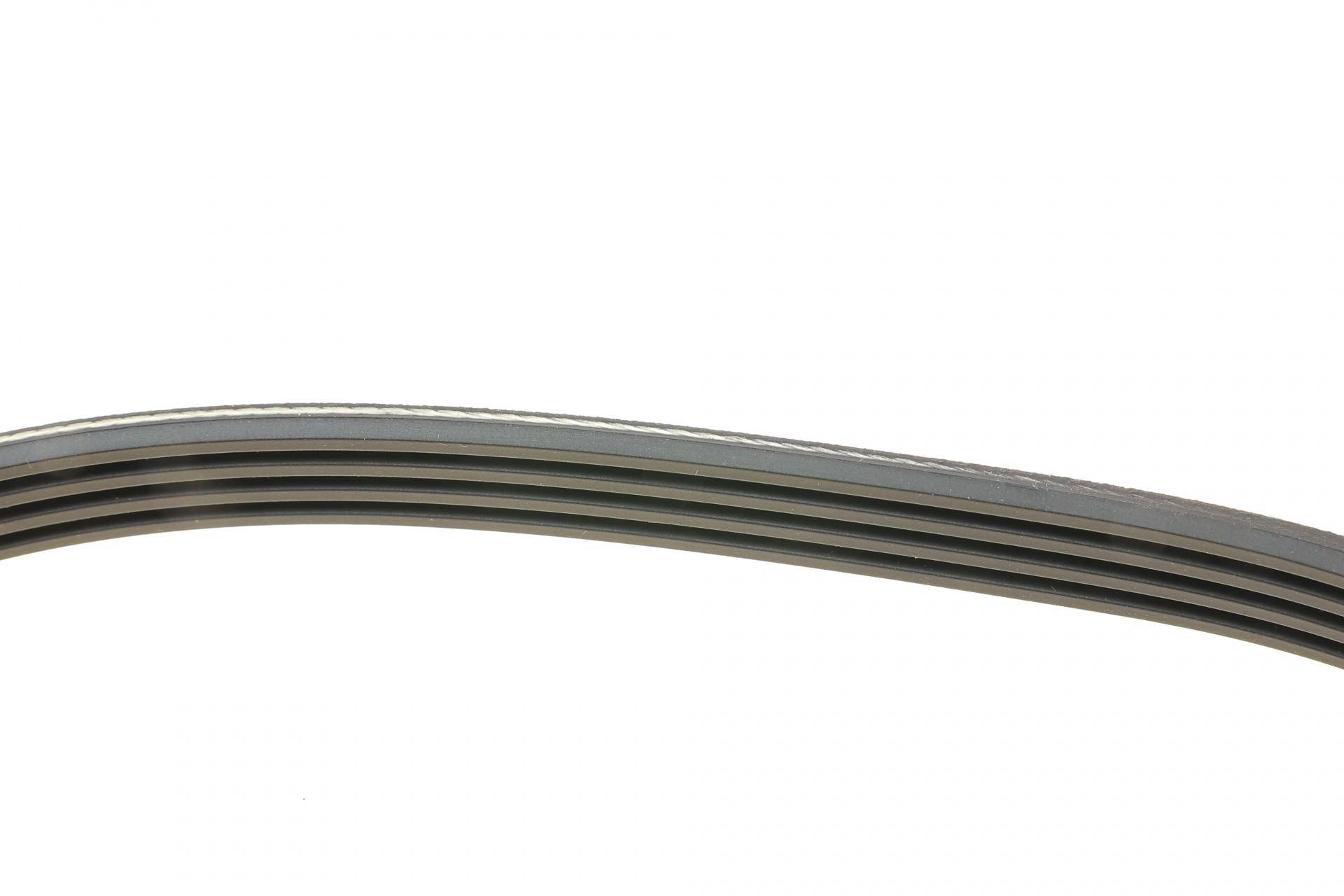 Ремінь генератора BMW 3 (E46)/X3 (E83) 01-07 M47 D20/Fiat Stilo 1.6 16V 01-08