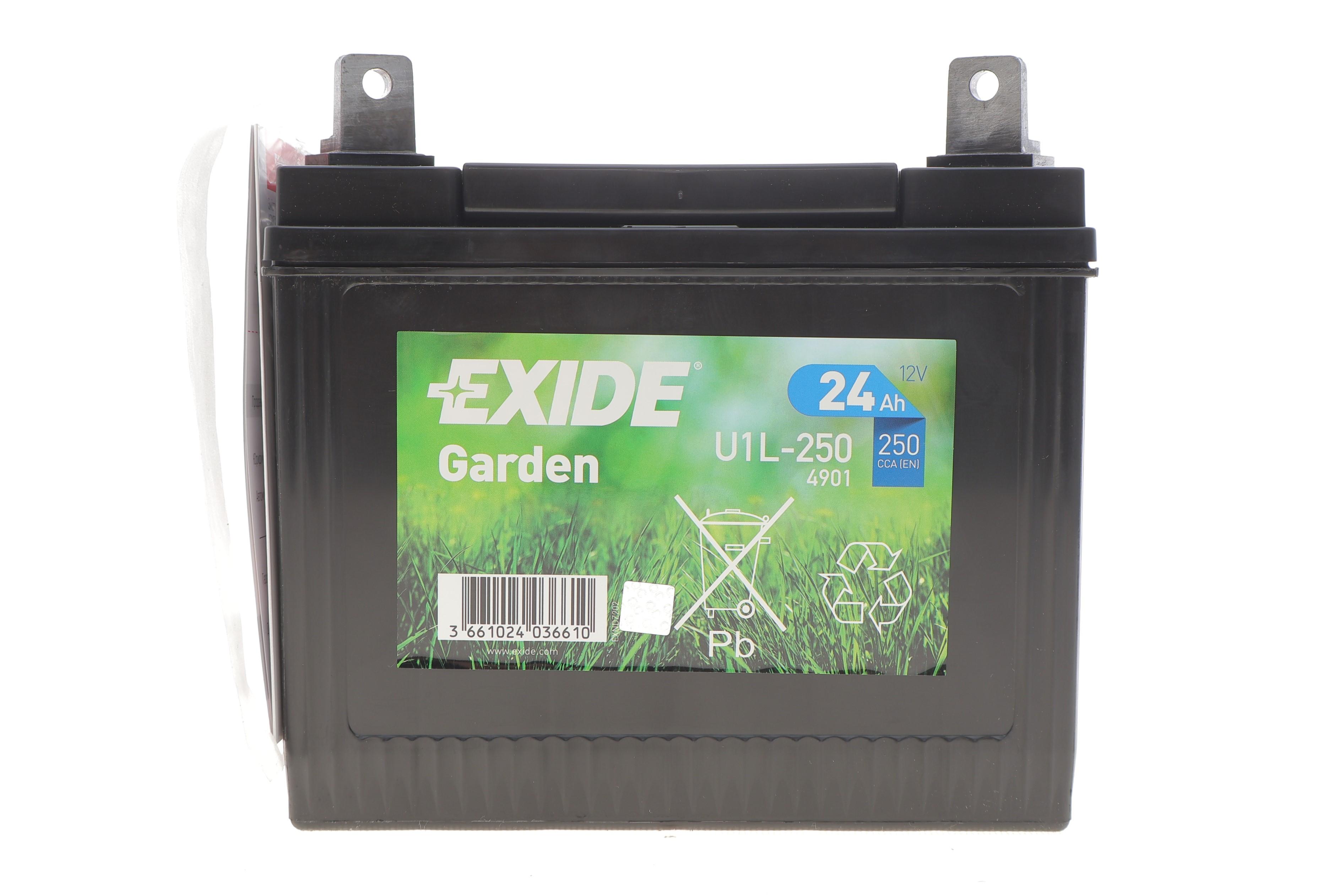 Акумуляторна батарея 24Ah/250A (197x132x186/+L) (Garden)