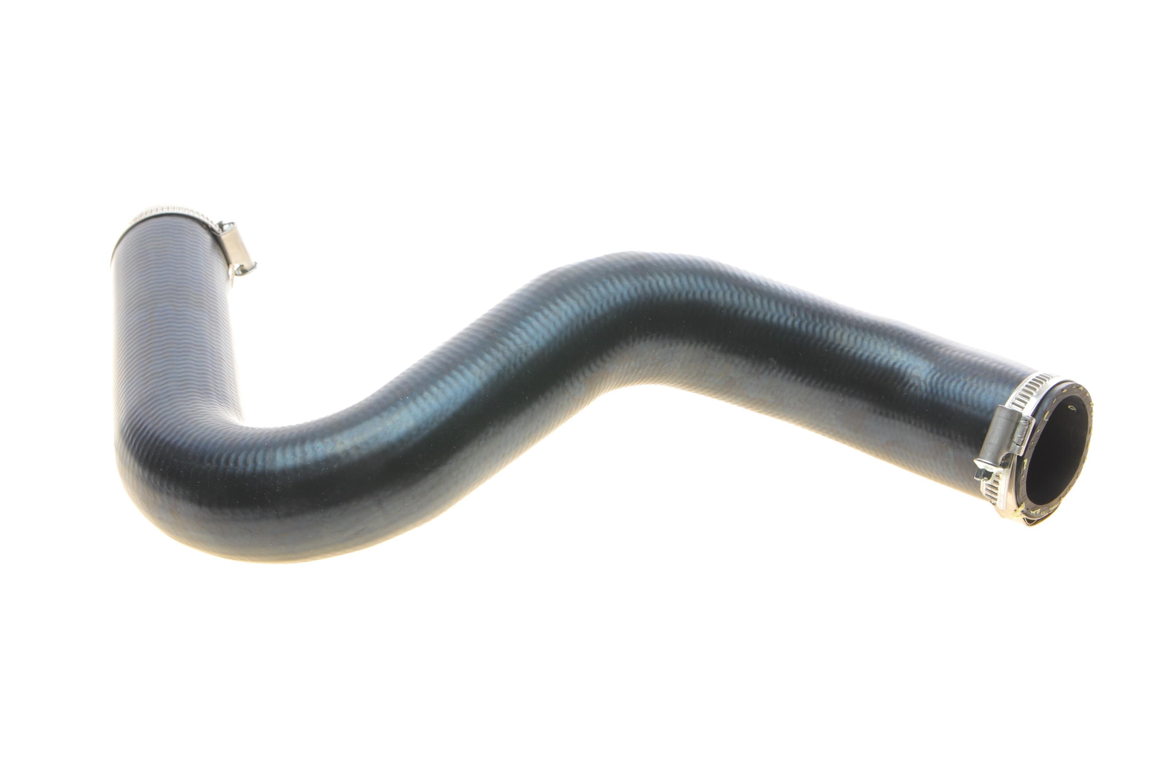 Патрубок інтеркулера (R) Ford Focus II 1.8 TDCi 05-12