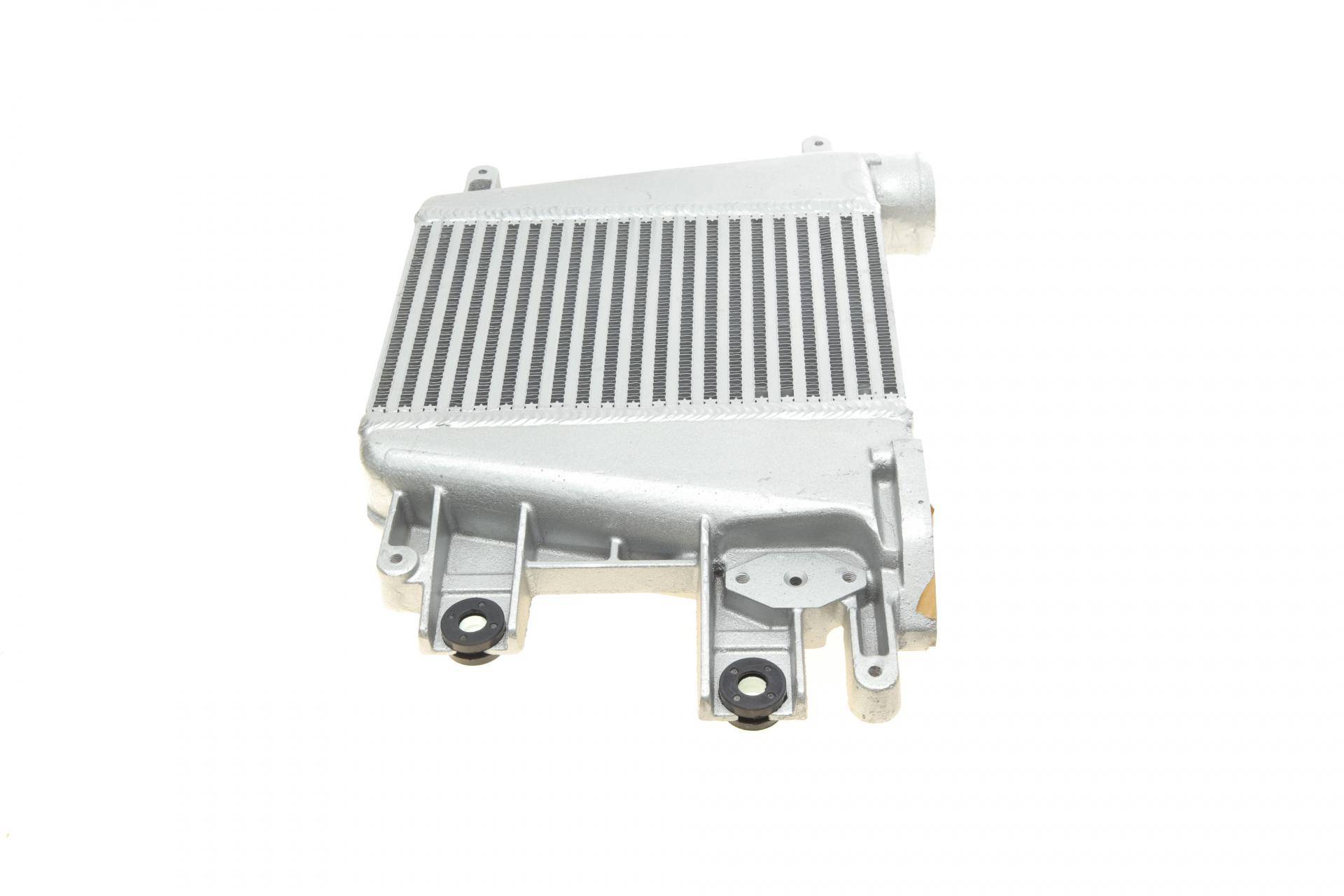 Радіатор інтеркулера Nissan Patrol GR 3.0DTi 00-/Terrano 3.0Di 02-07