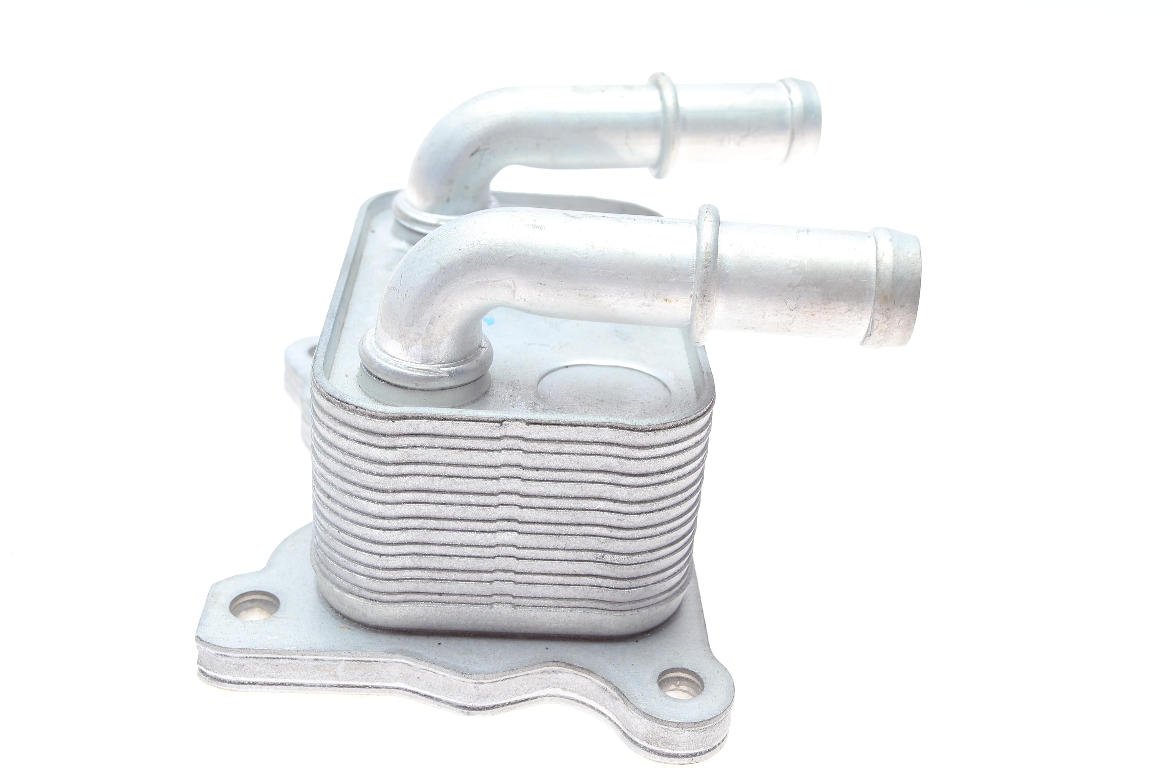 Радіатор масляний Mercedes Citan/Dacia Dokker/Sandero 1.5dCi 12-