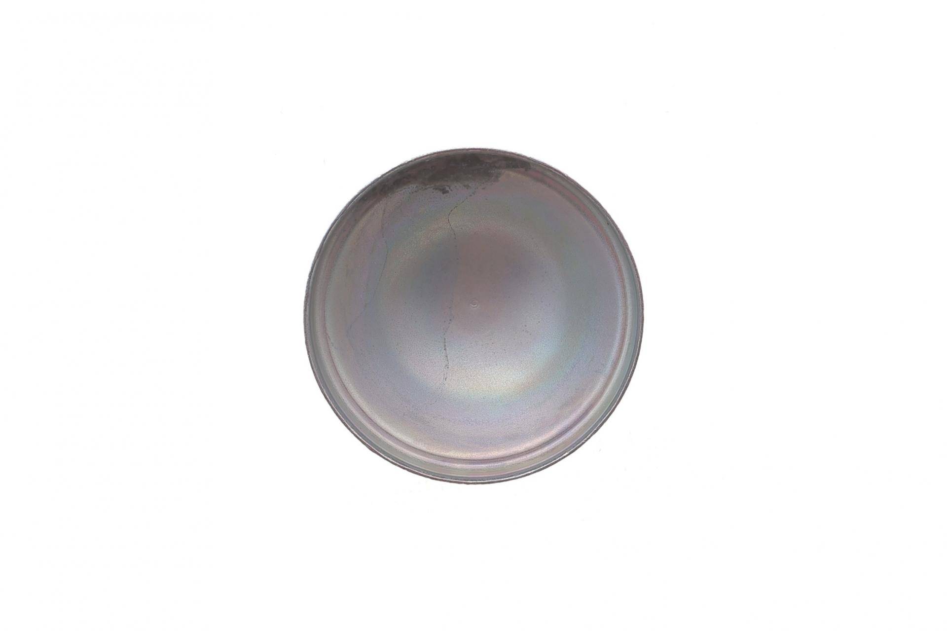 Кришка підшипника маточини (задньої) Ford Escort/Fiesta/Focus -14