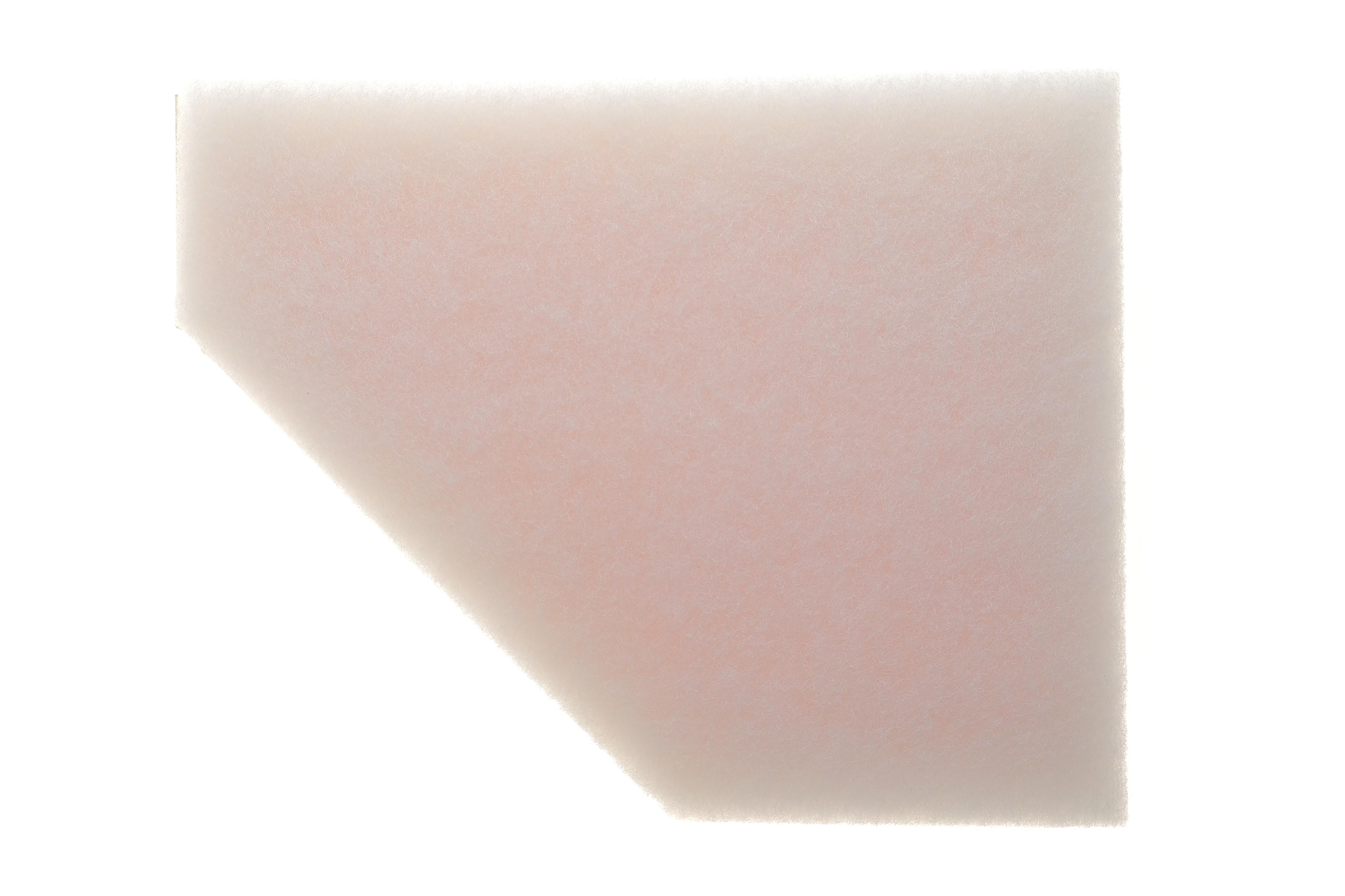 Фільтр повітряний BMW 3 (E90-E93)/X1 (E84) 03- (з поролоном)