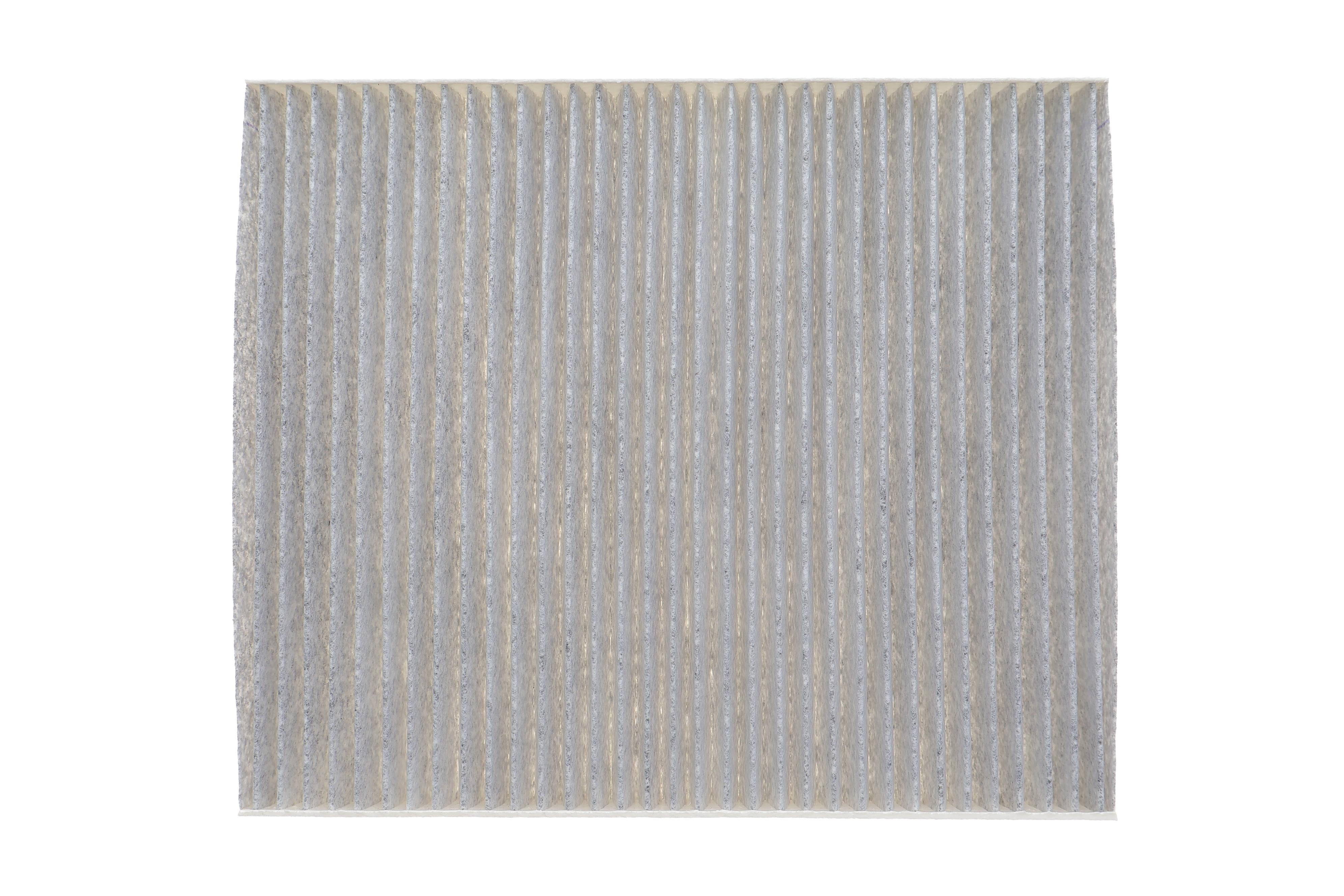 Фільтр салону Chevrolet Aveo/Daewoo Kalos 05- (угольный)