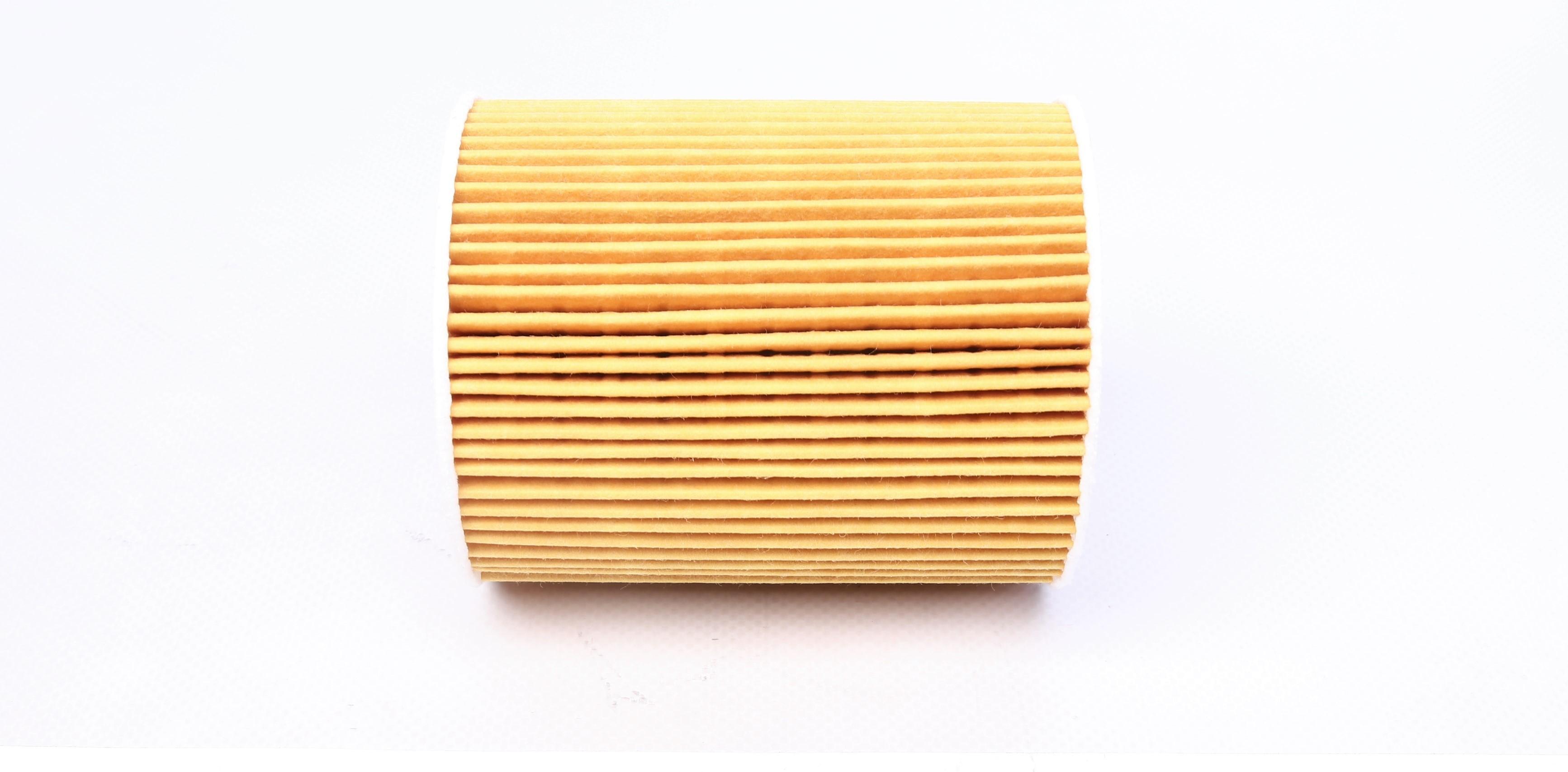 Фільтр масляний Citroen C5/Peugeot 407 3.0HDI 09-/Land Rover Discovery/Range Rover Sport 3.0TD 09-