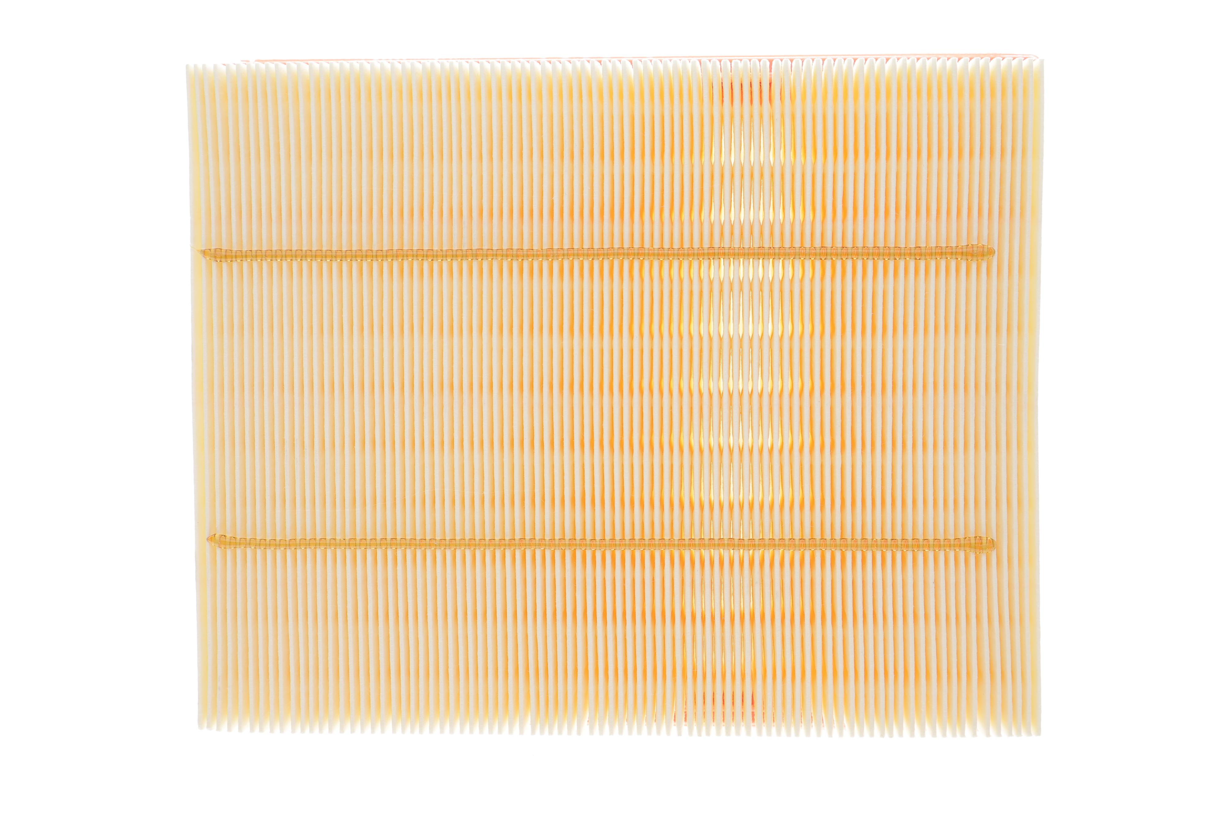 Фільтр повітряний Ford Galaxy/Mondeo/S-Max 1.0-2.0EcoBoost/1.5-2.0Ecoblue/TDCi 14-