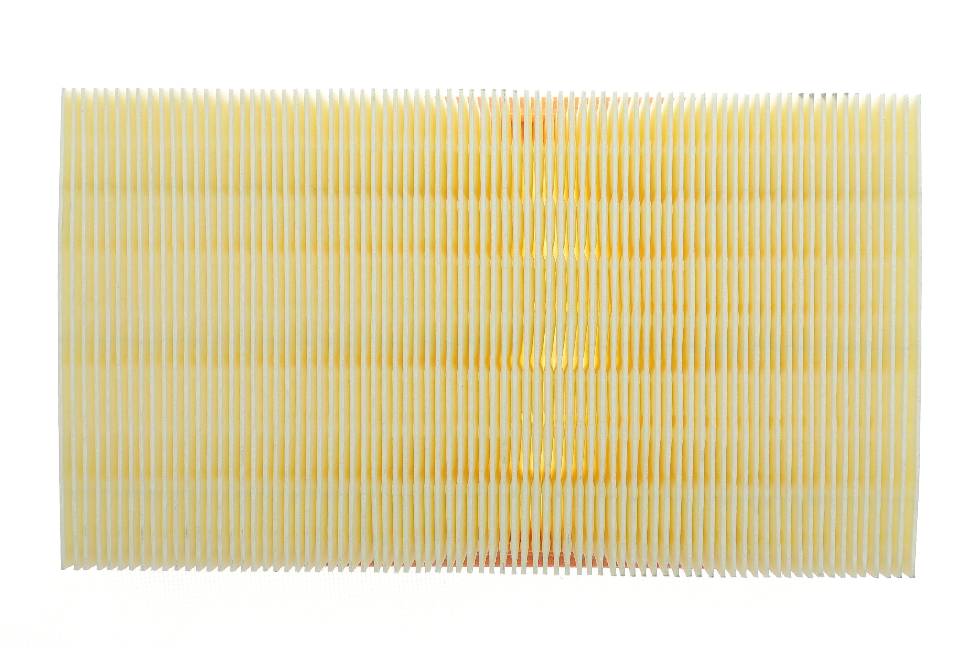 Фільтр повітряний Renault Clio 1.5dCi/1.6 16V/2.0 16V 05-14 (з сіткою)