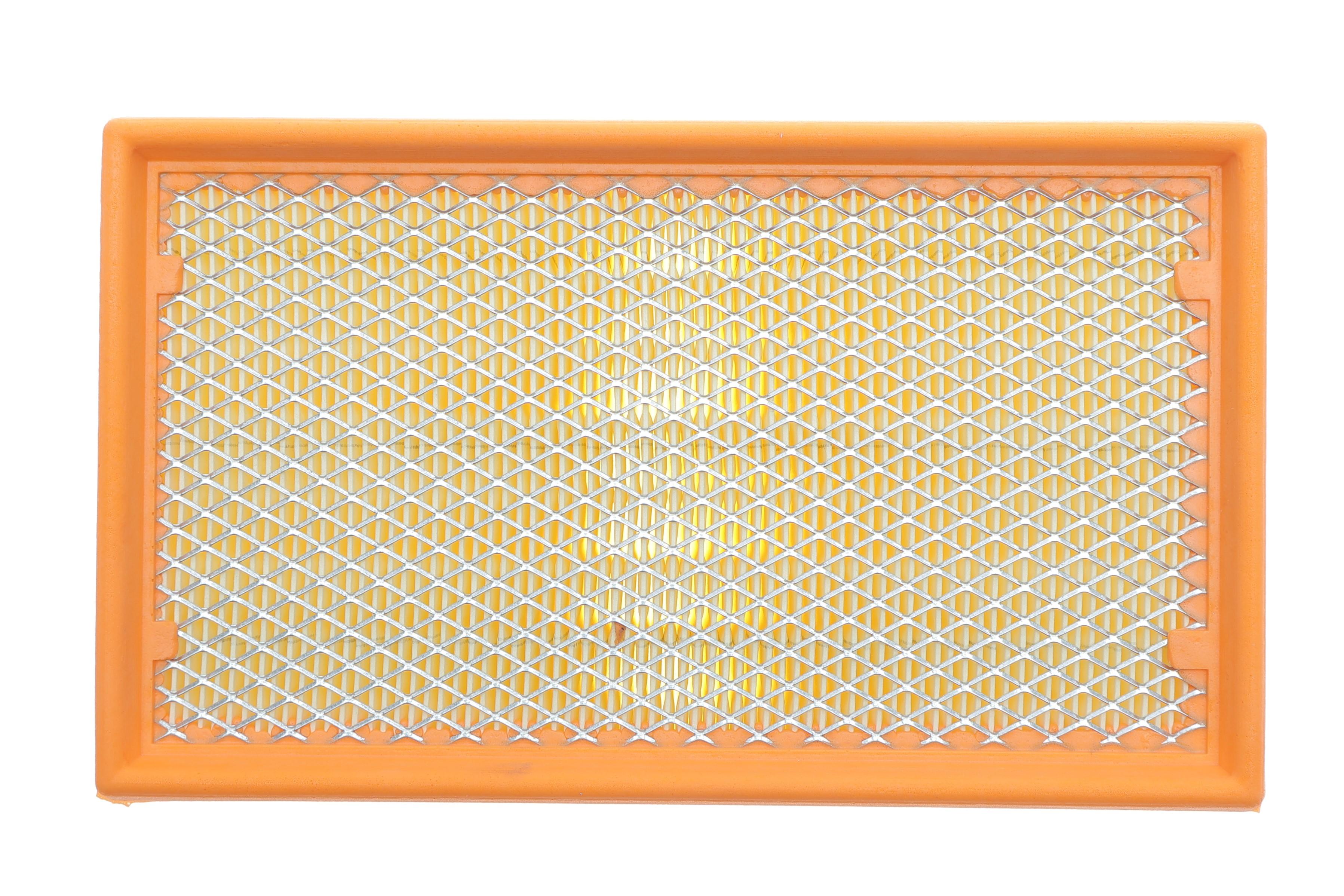 Фільтр повітряний Renault Clio 1.5dCi/1.6 16V/2.0 16V 05-14 (з сіткою)