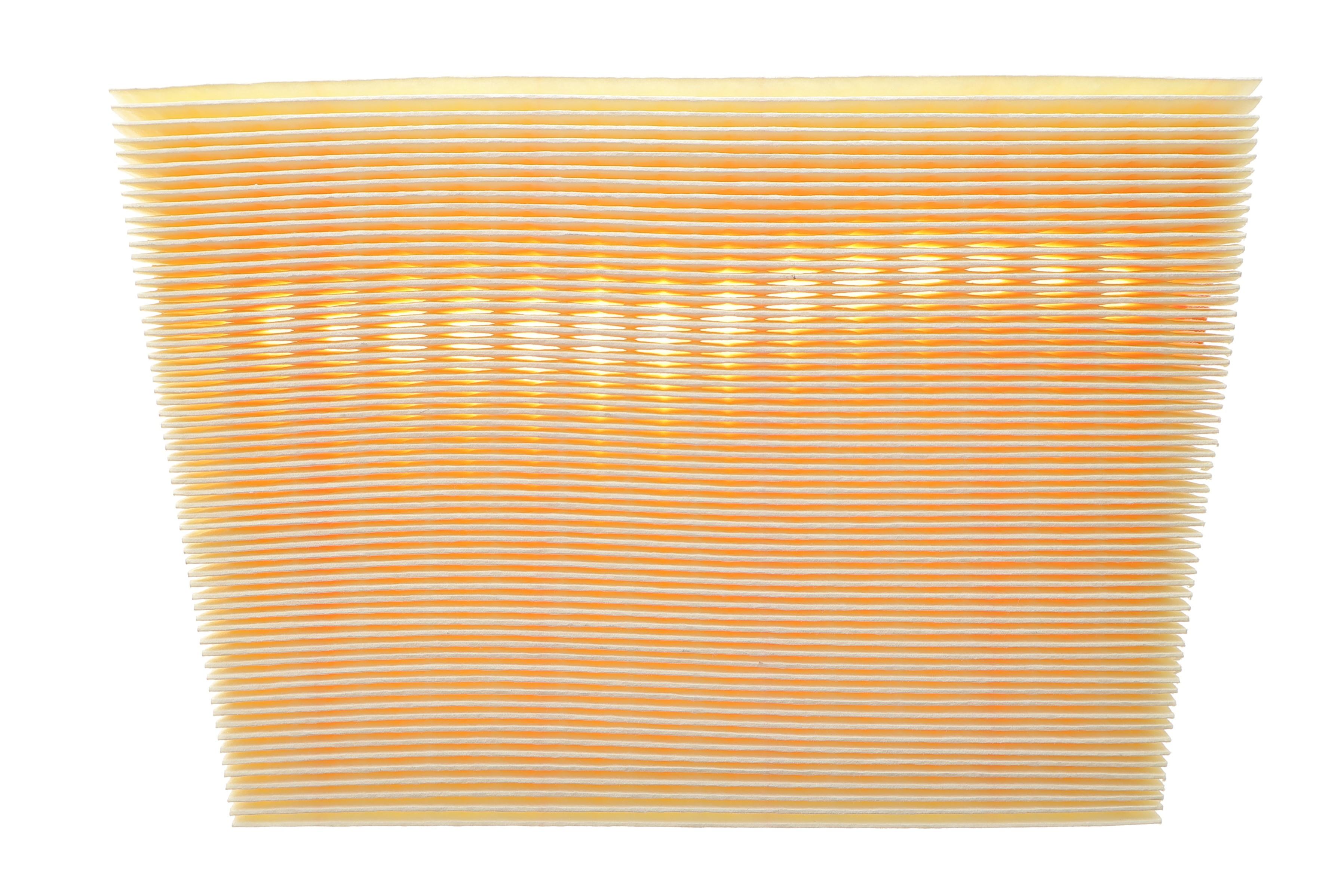 Фільтр повітряний Land Rover Range Rover Evoque 2.0D 15-