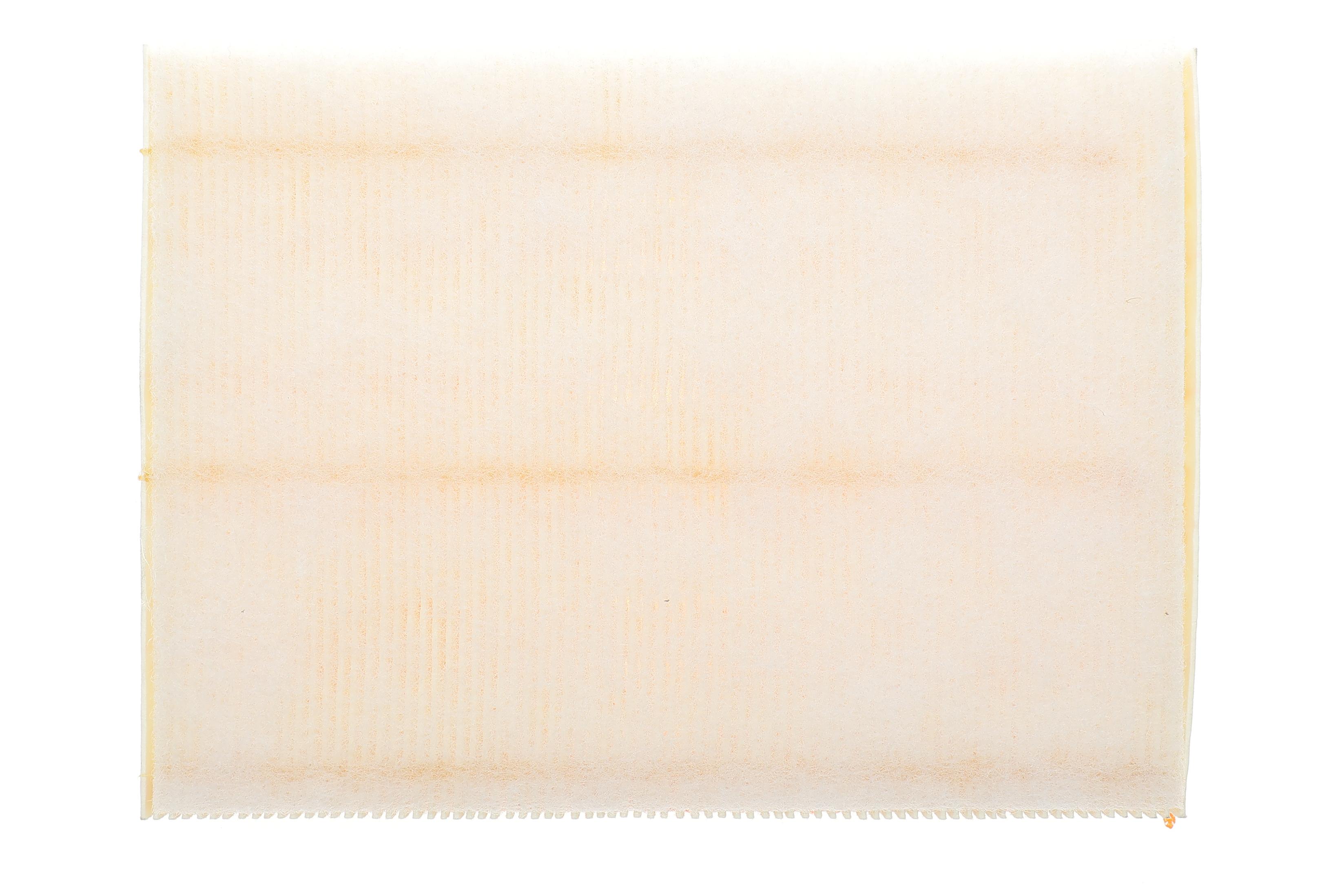 Фільтр повітряний Citroen C4/Peugeot 307 1.8 16V/2.0 16V 04-