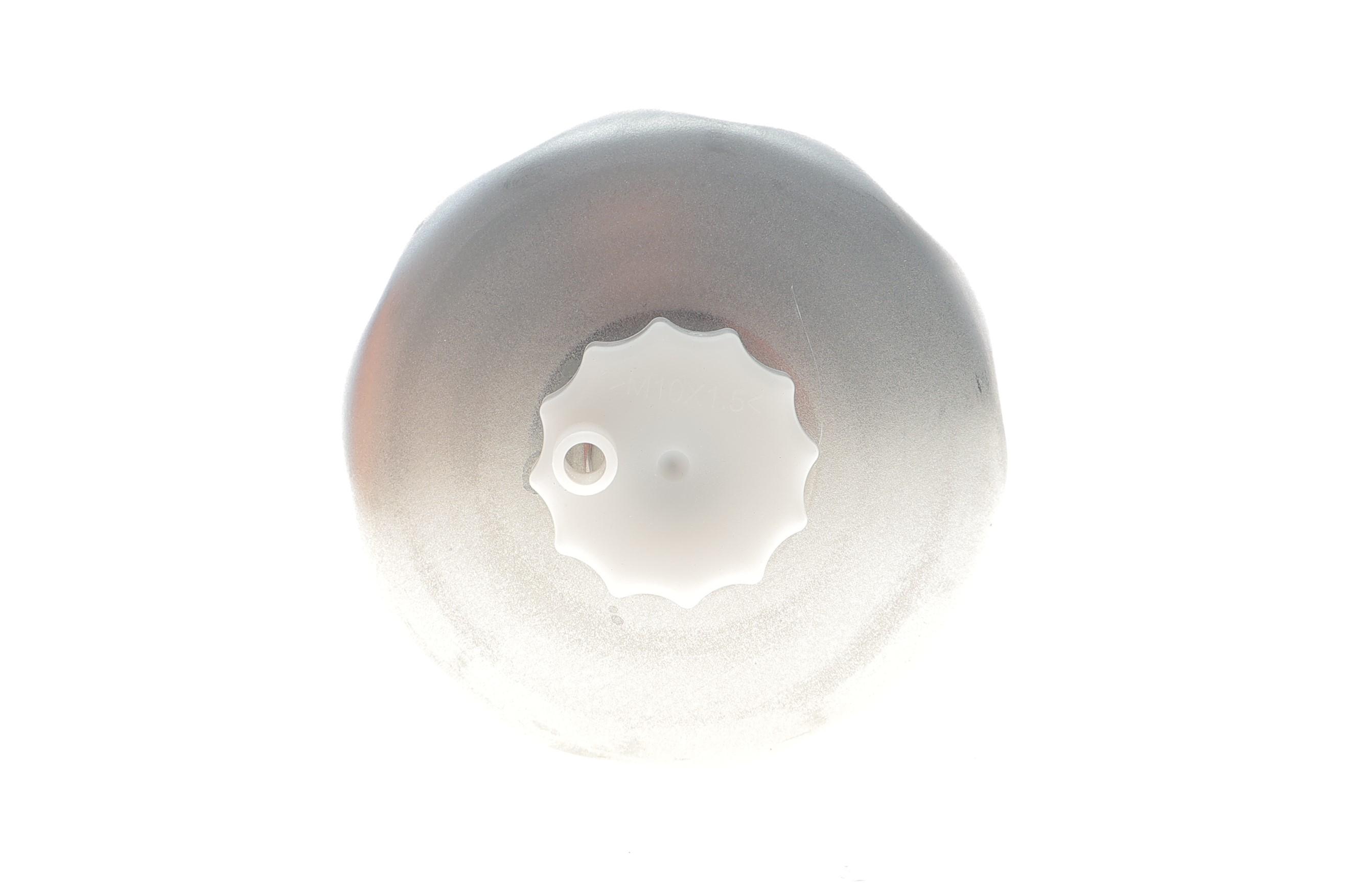 Фільтр паливний Iveco EuroCargo/Magirus/Stralis 06-