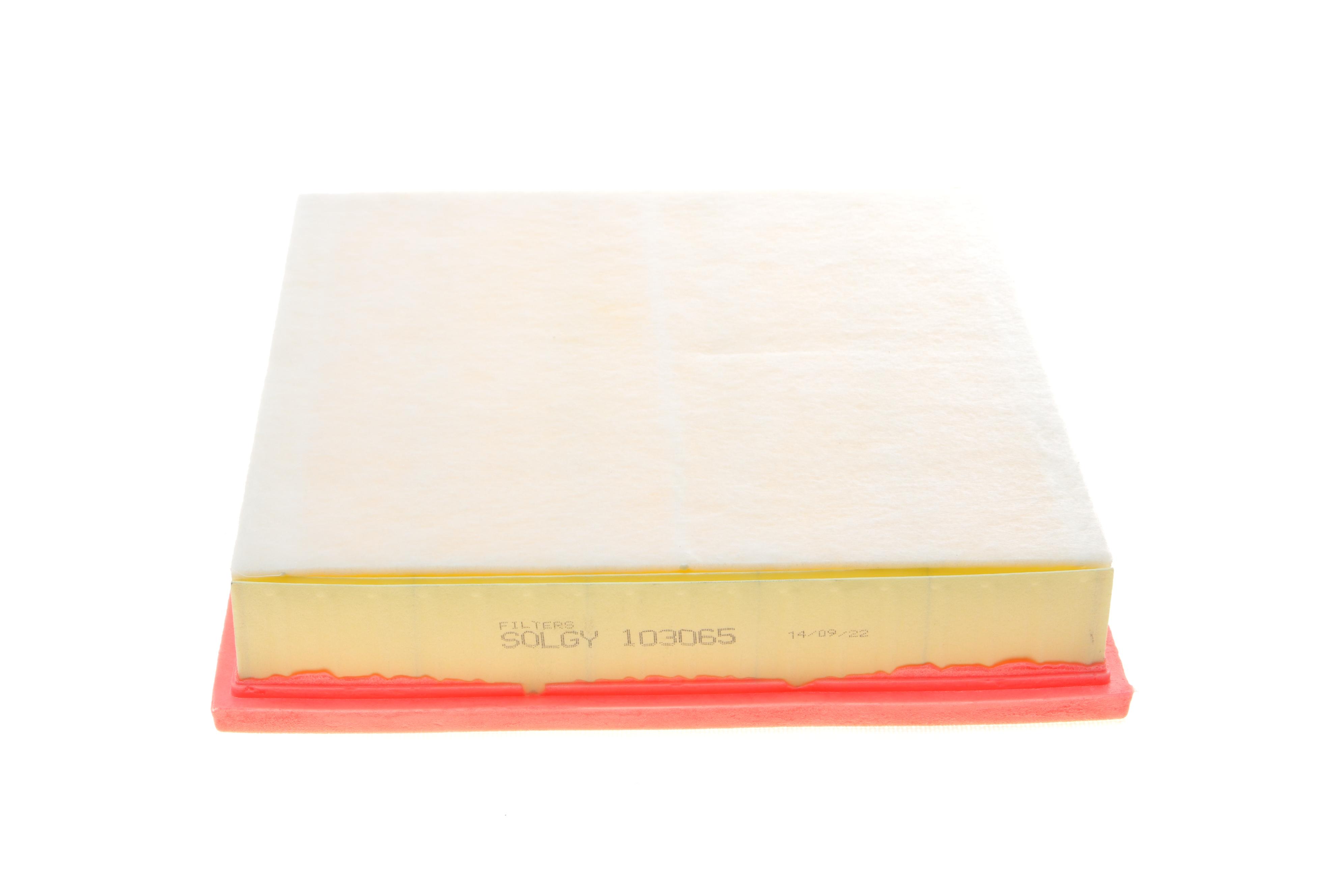 Фільтр повітряний Renault Trafic/Opel Vivaro 2.0/2.5dCi 02- (з поролоном) (без картонної упаковки)