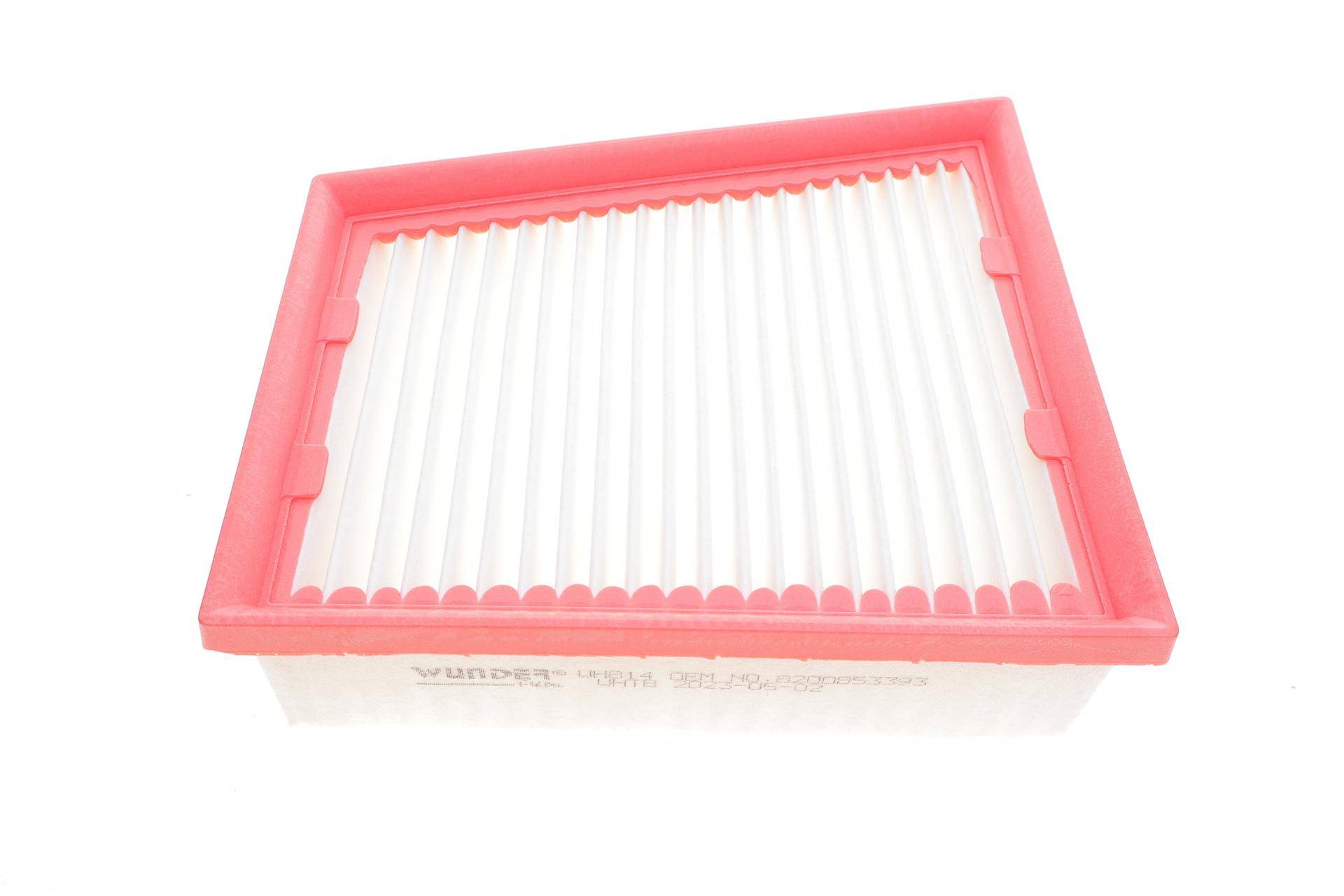 Фільтр повітряний Renault Scenic III/Megane III 2.0 CVT 09-