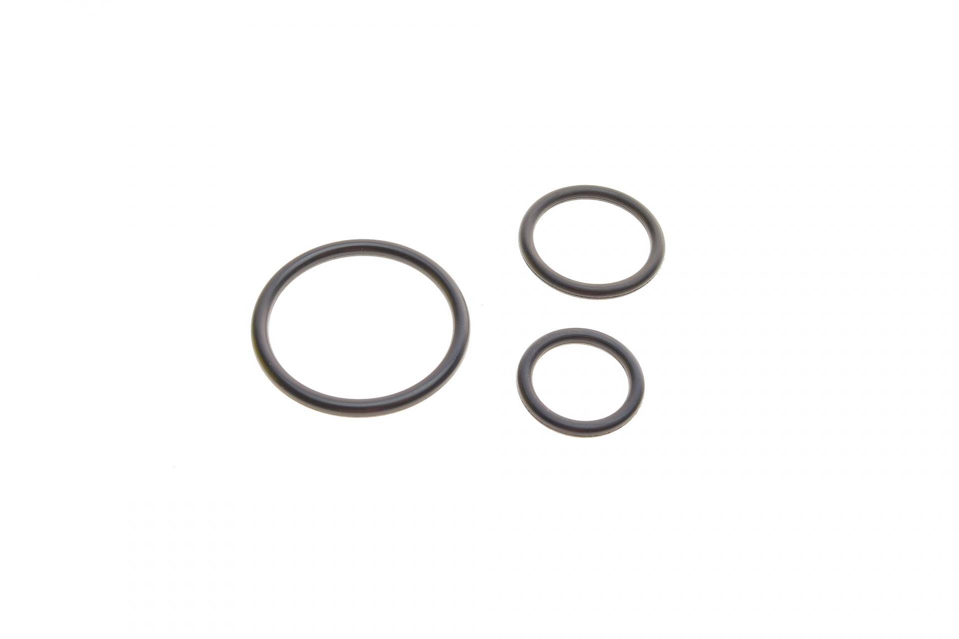 Фільтр паливний Renault Megane/Scenic 1.5-2.0DCI 08-