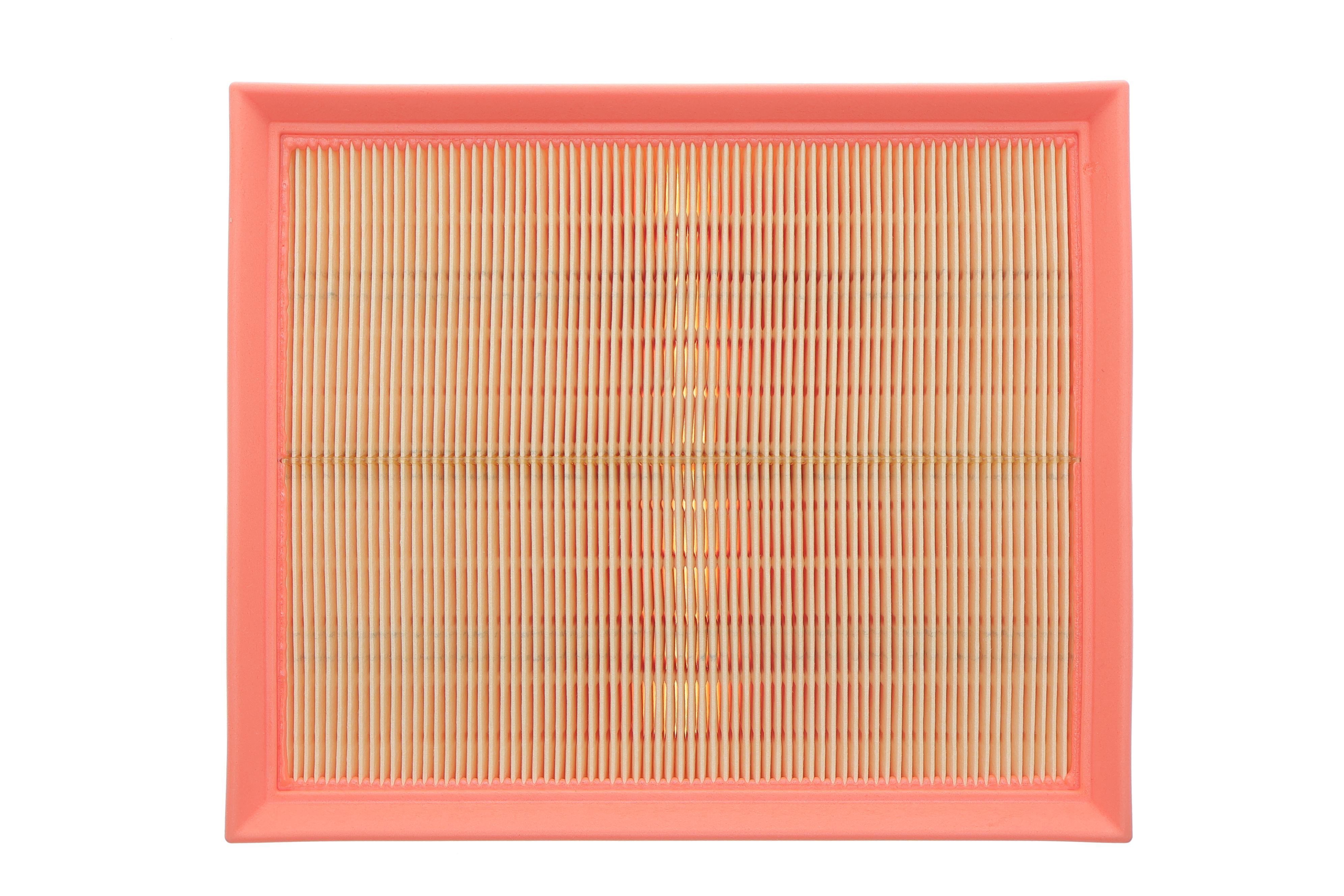 Фільтр повітряний Land Rover Range Rover/Discovery 2.5TD/4.0/4.6 96-02/Defender 2.5 TD5 98-16