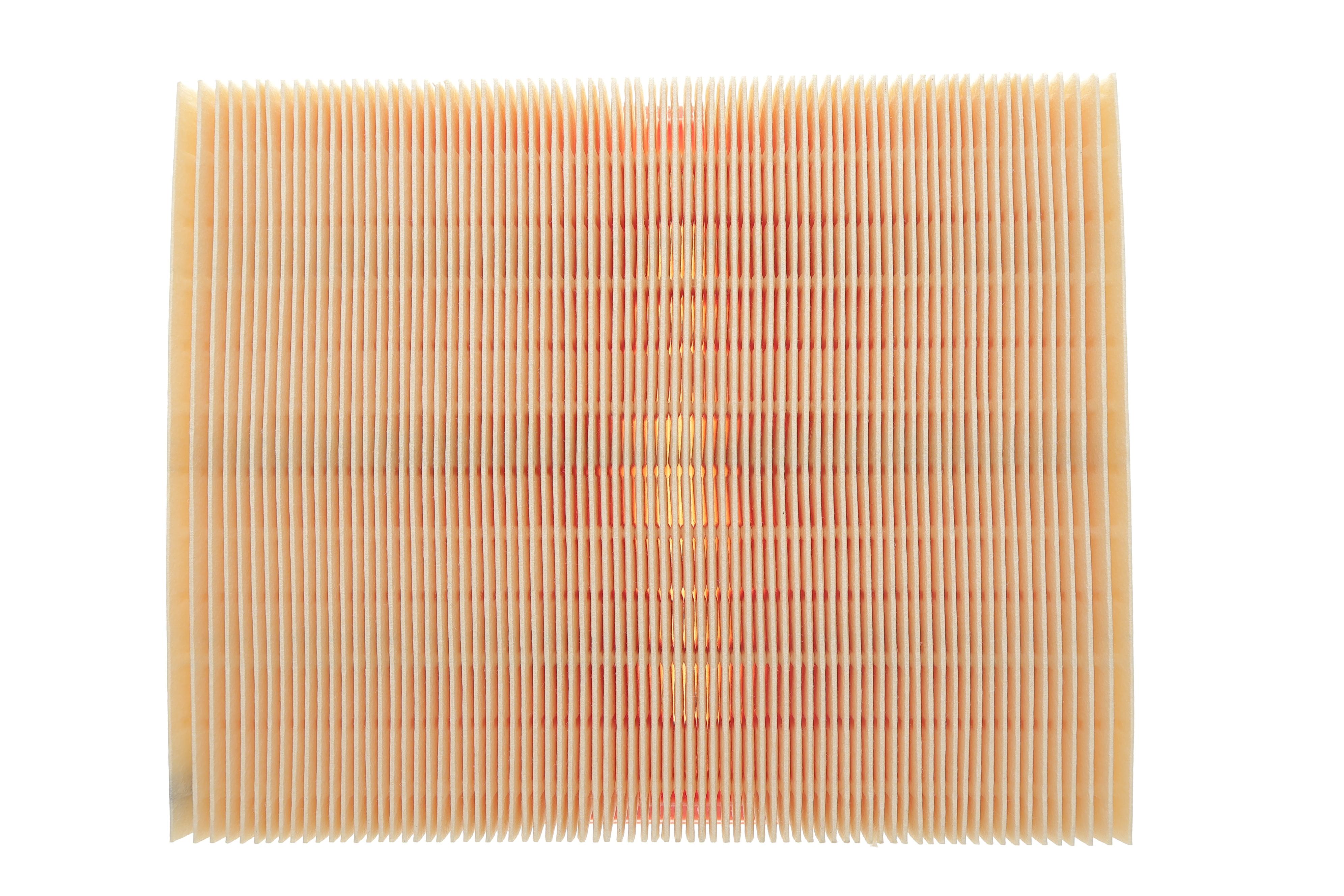 Фільтр повітряний Land Rover Range Rover/Discovery 2.5TD/4.0/4.6 96-02/Defender 2.5 TD5 98-16