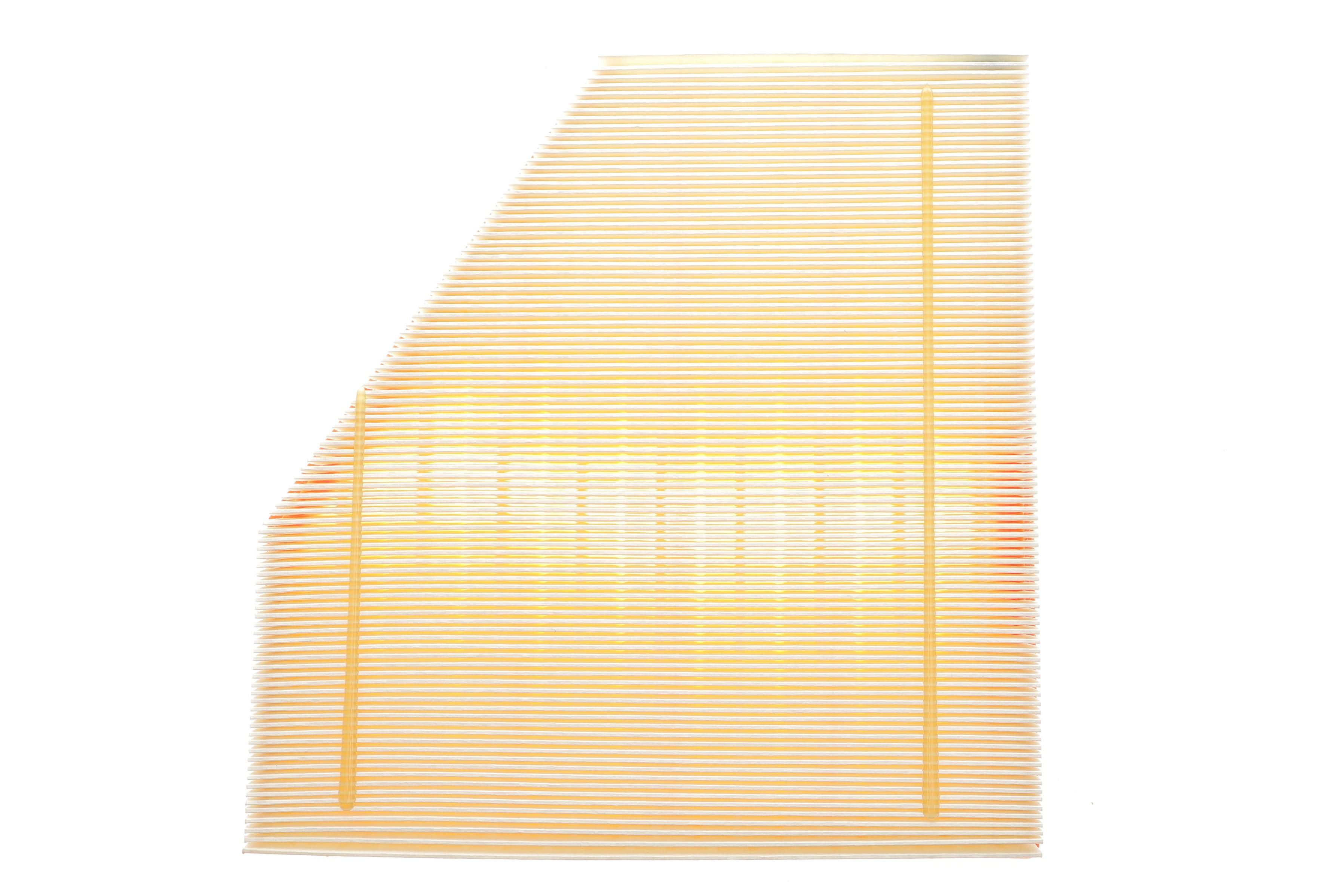 Фільтр повітряний BMW 1 (F20/F21)/2 (F22/F23)/3 (F30/F31/F34)/4 (F32/F33/F36) 2.0/3.0 B48/B58 16-