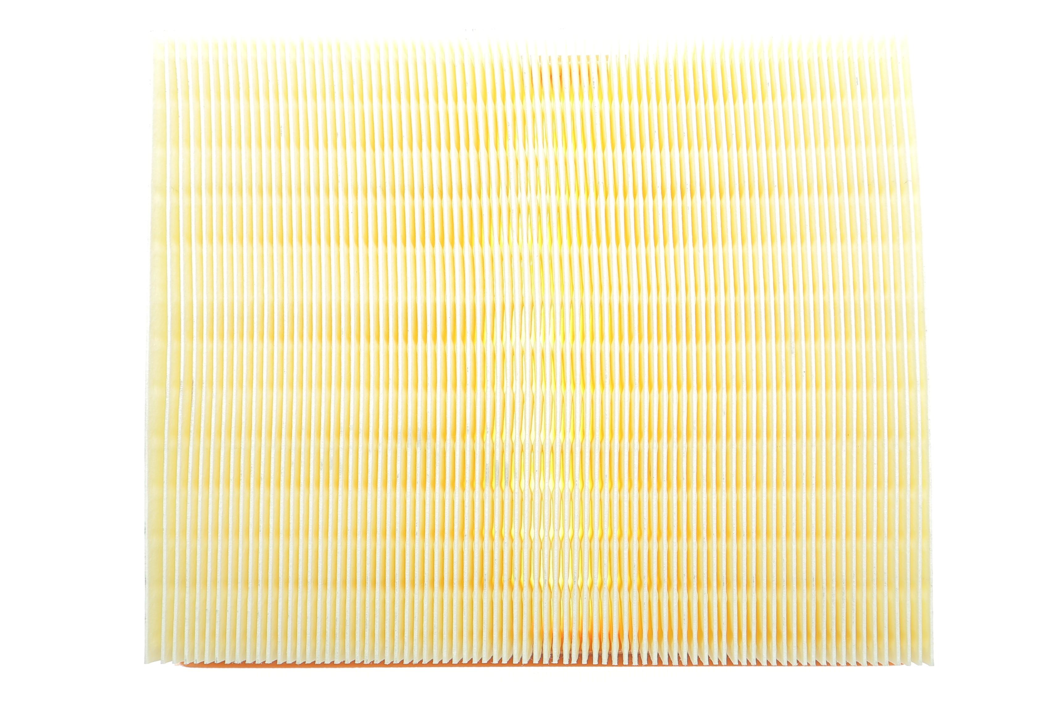 Фільтр повітряний Land Rover Range Rover/Discovery 2.5TD/4.0/4.6 96-02/Defender 2.5 TD5 98-16