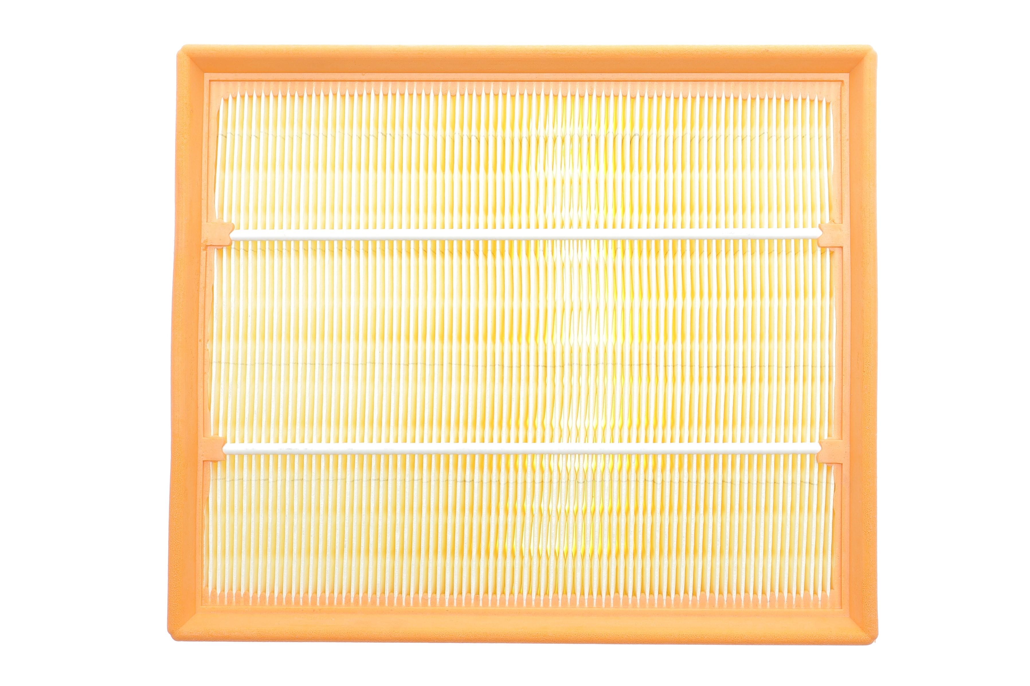 Фільтр повітряний Land Rover Range Rover/Discovery 2.5TD/4.0/4.6 96-02/Defender 2.5 TD5 98-16