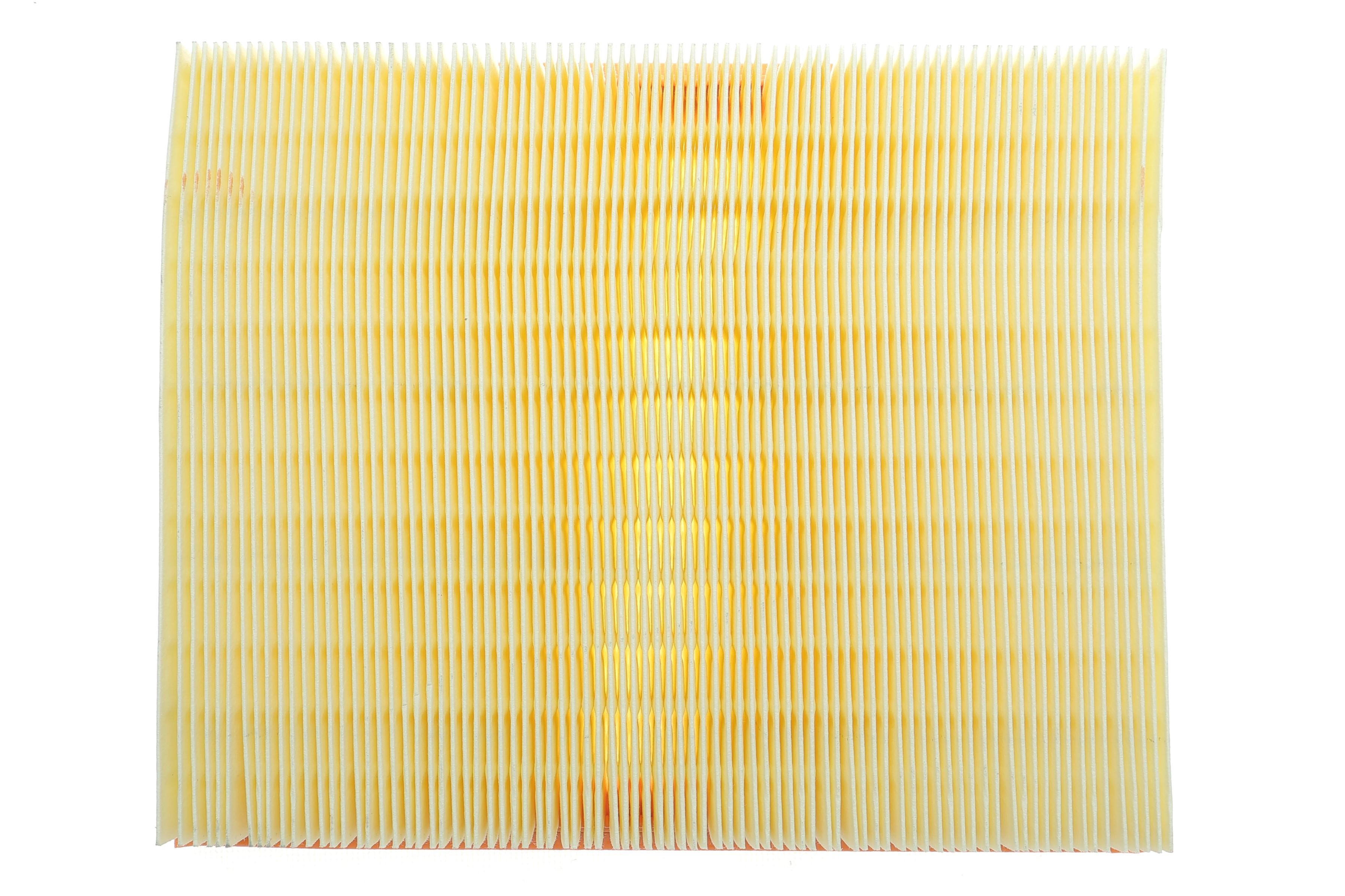 Фільтр повітряний Ford Galaxy/Mondeo/S-Max 1.0-2.0EcoBoost/1.6TDCi/2.0Ecoblue/TDCi/2.5 14-