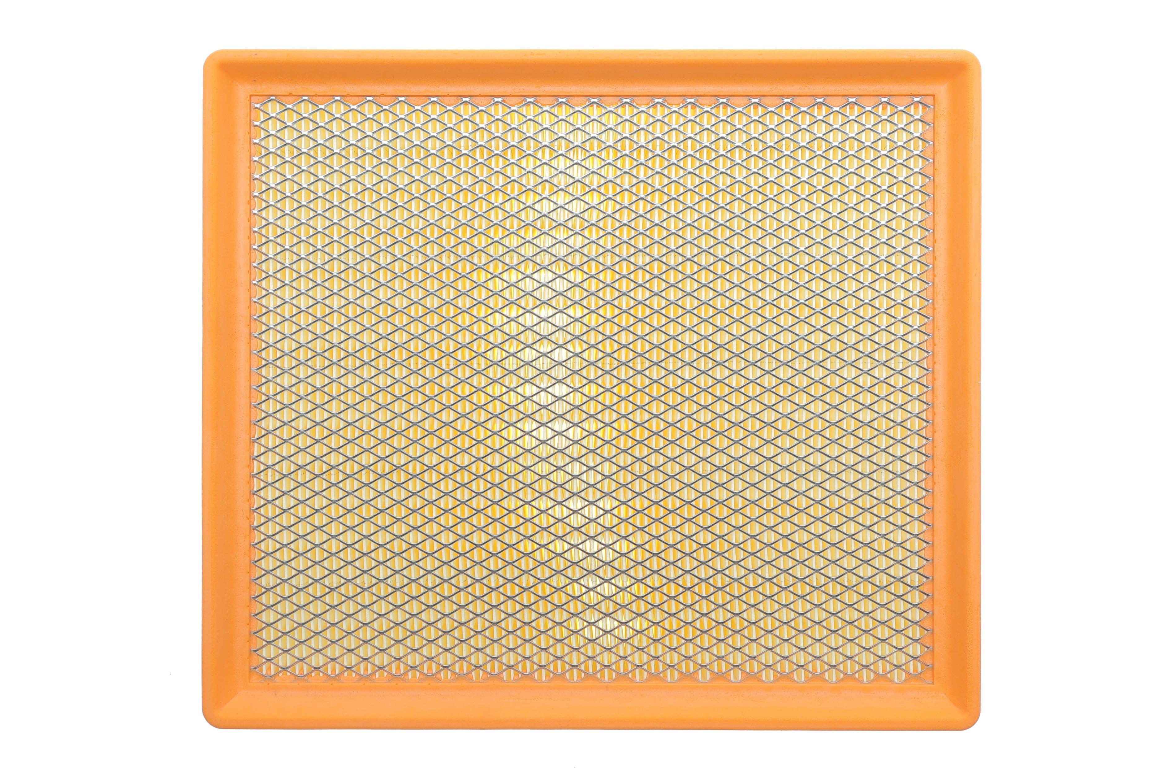 Фільтр повітряний Renault Master 2.2dCi/2.5dCi 03-/Opel Movano 2.2DTI/2.5CDTI 03-10 (з сіткою)