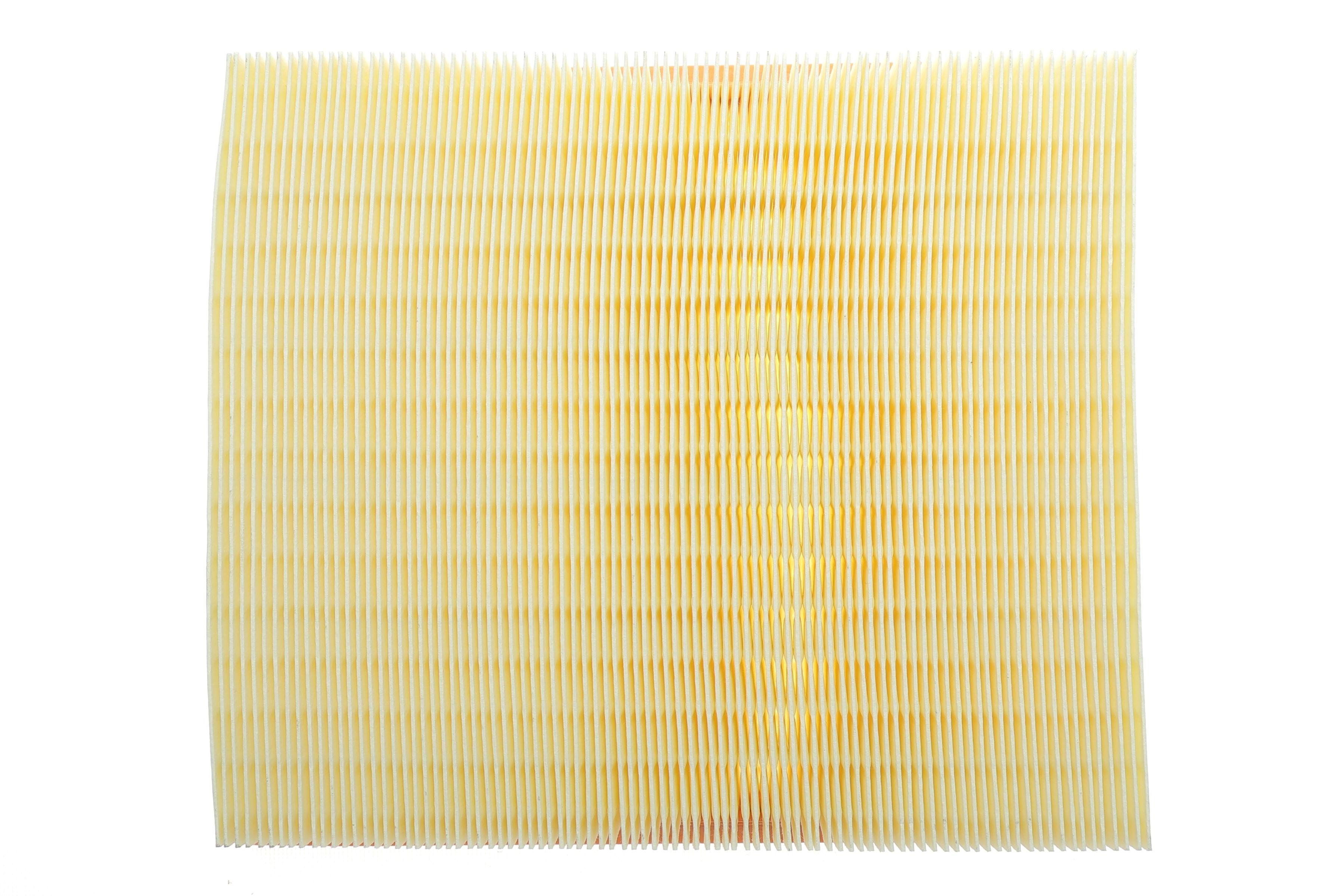 Фільтр повітряний Renault Master 2.2dCi/2.5dCi 03-/Opel Movano 2.2DTI/2.5CDTI 03-10 (з сіткою)