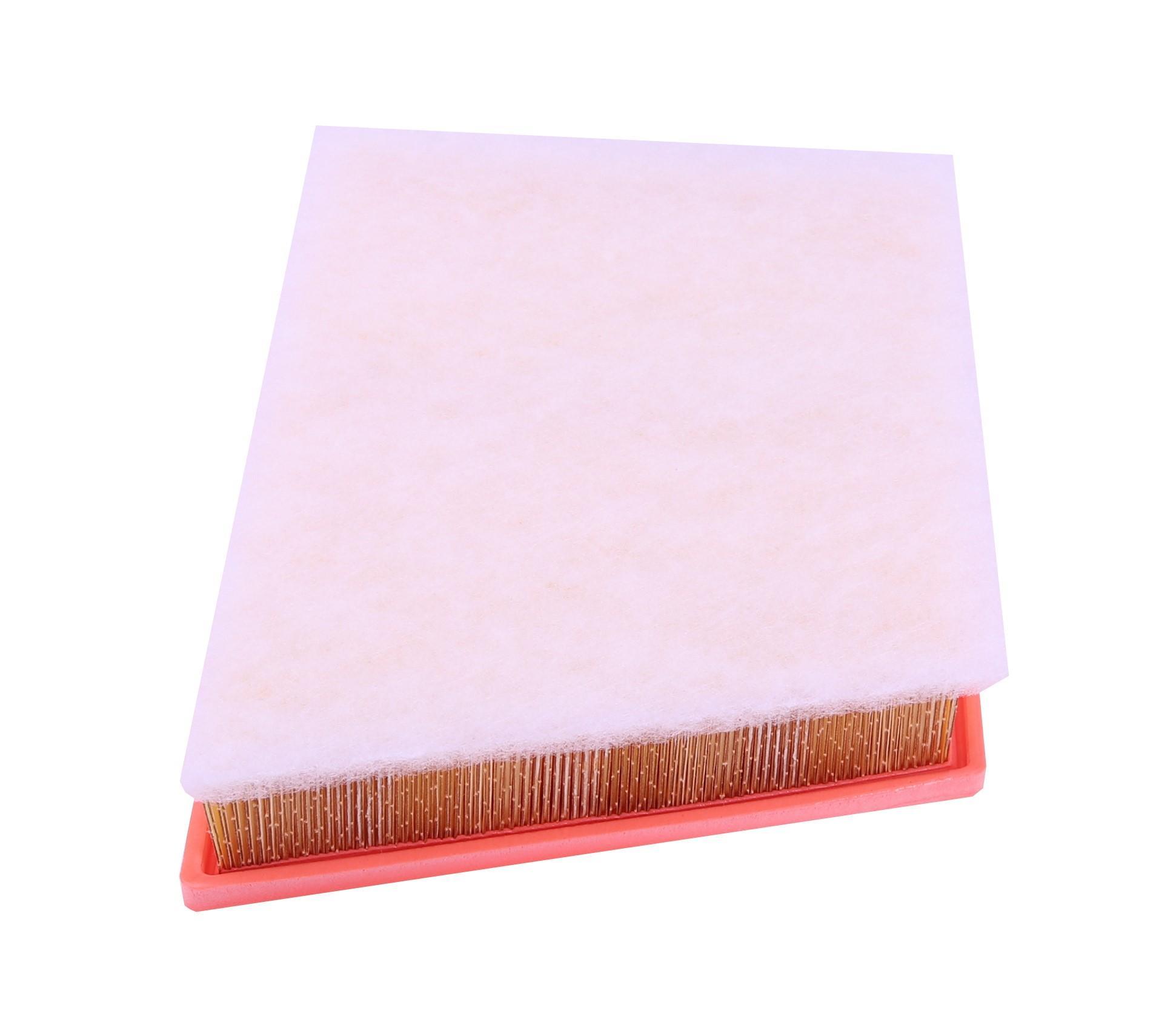 Фільтр повітряний BMW 2 (F45) 13-/X1 (F48) 14-/Mini Cooper 13-