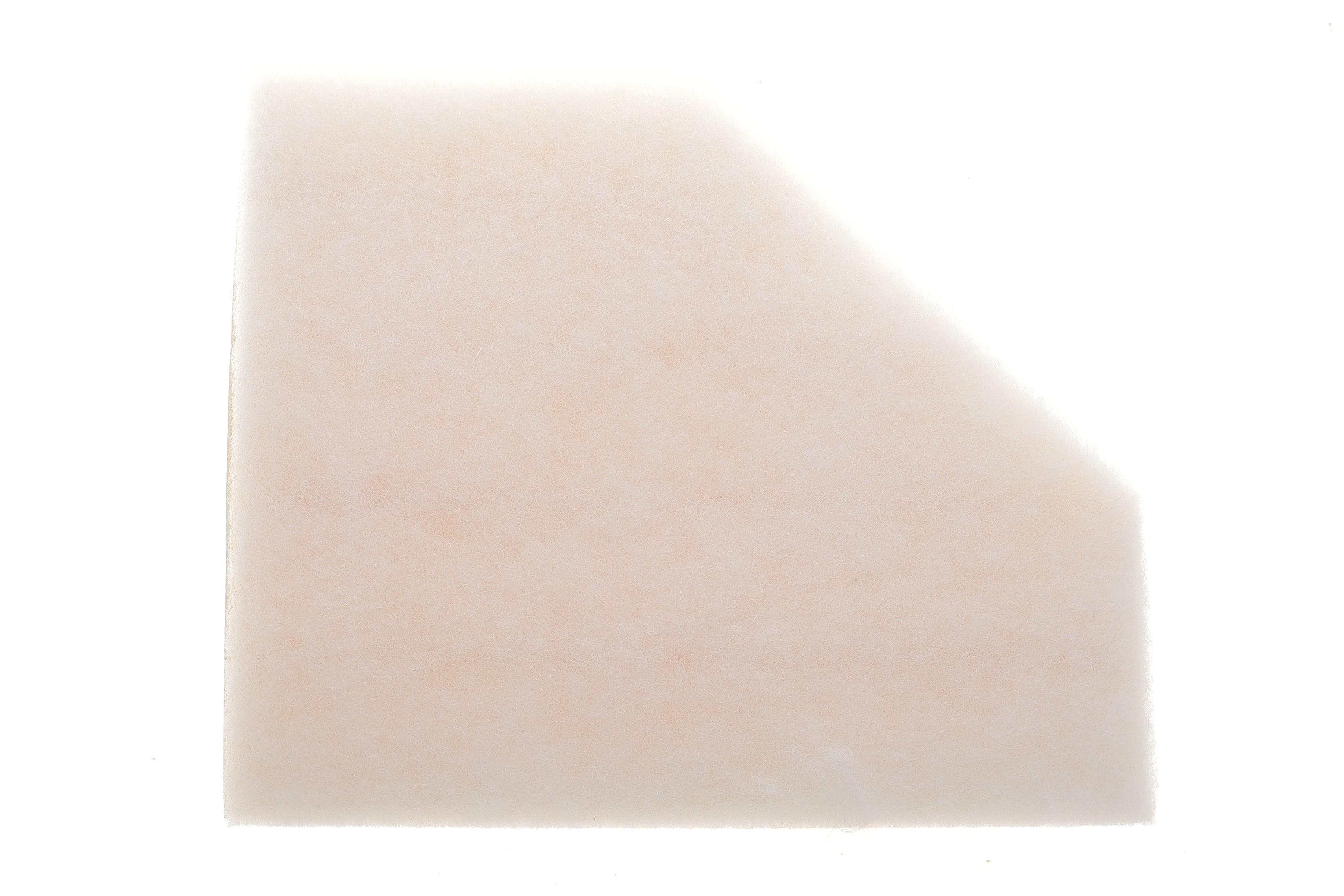 Фільтр повітряний BMW 3 (G20/G80/G28) 2.0d (B47)/3.0d (B57) 18- (з поролоном)