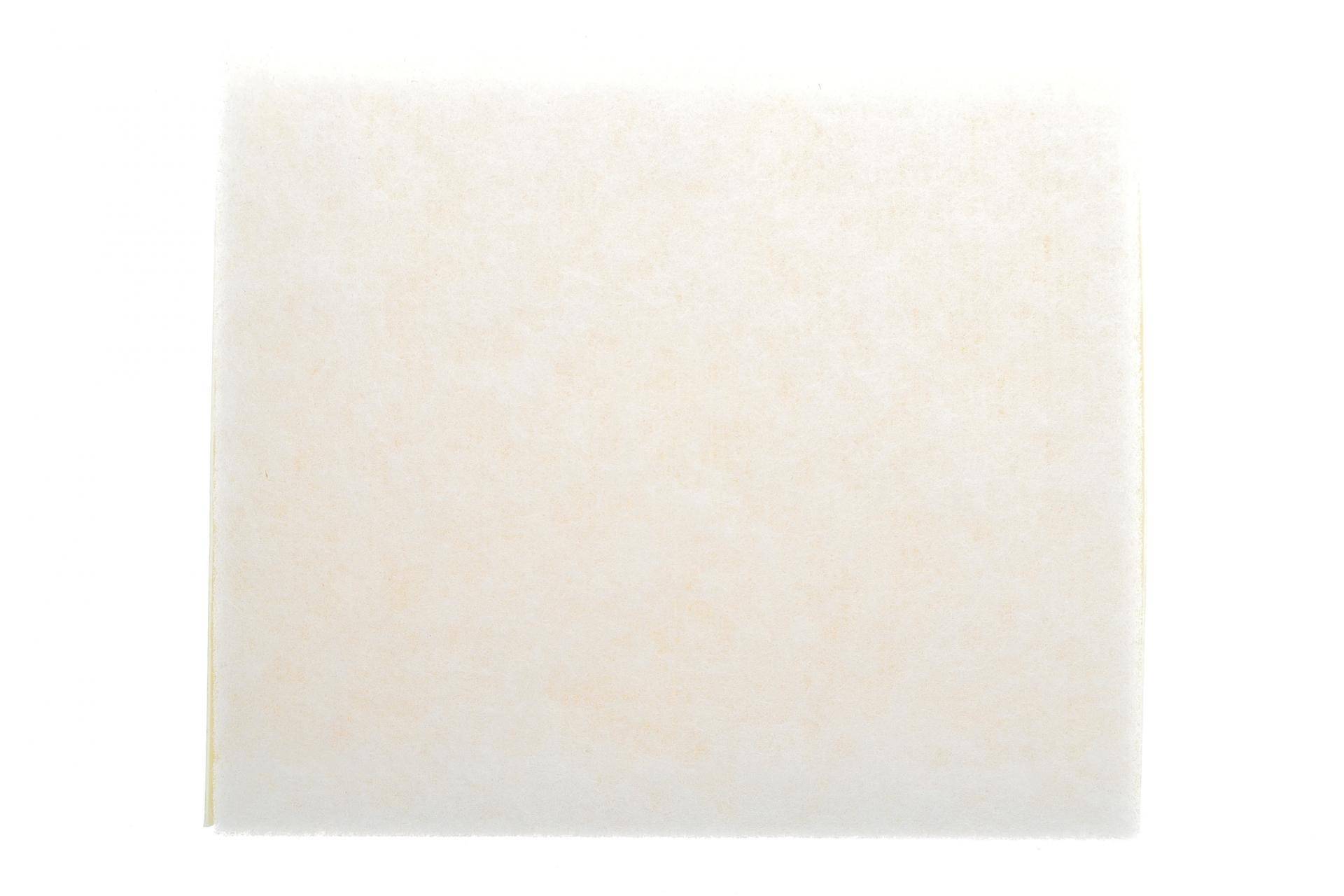 Фільтр повітряний BMW 1 (F20/F21) 1.5d/1.6d/2.0d N47/B47/3 (F30/F80)/4 (F32-F36) 2.0d N47/B47 11-