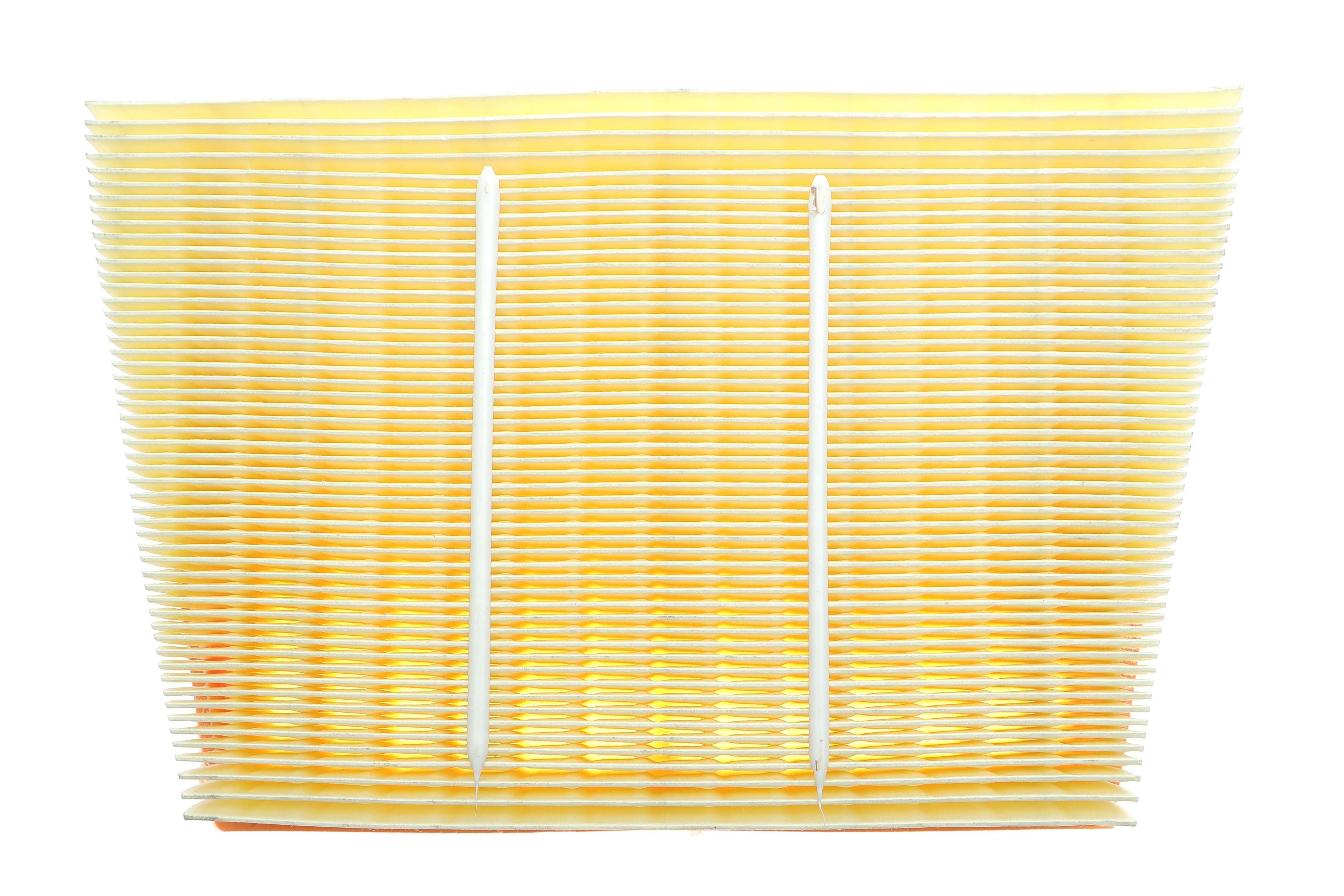 Фільтр повітряний Land Rover Range Rover Evoque 1.5/2.0/2.0D 15-/Discovery Sport 1.5/2.0/2.0D 14-