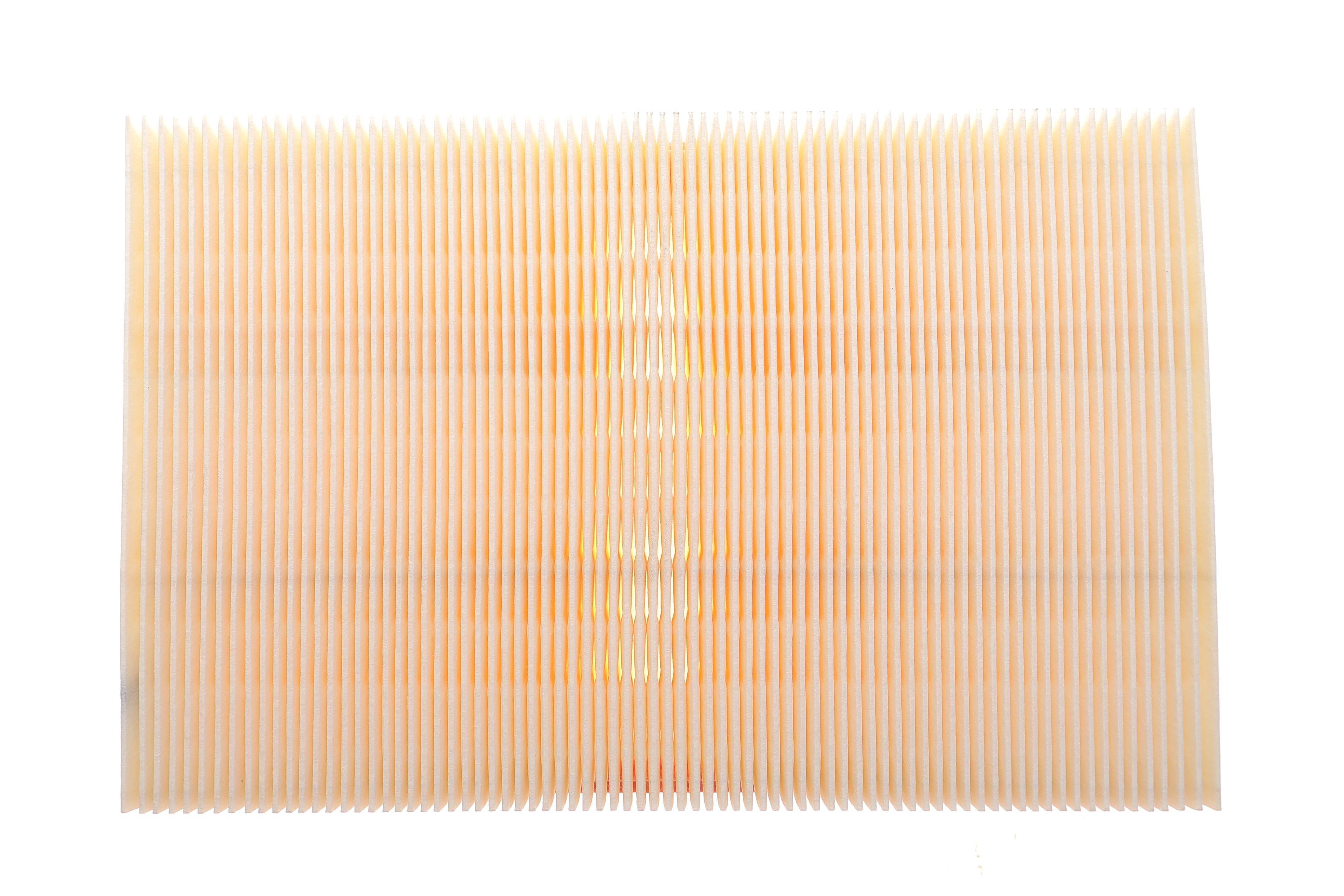 Фільтр повітряний Land Rover Freelander 2.2 TD4 4x4 06-14