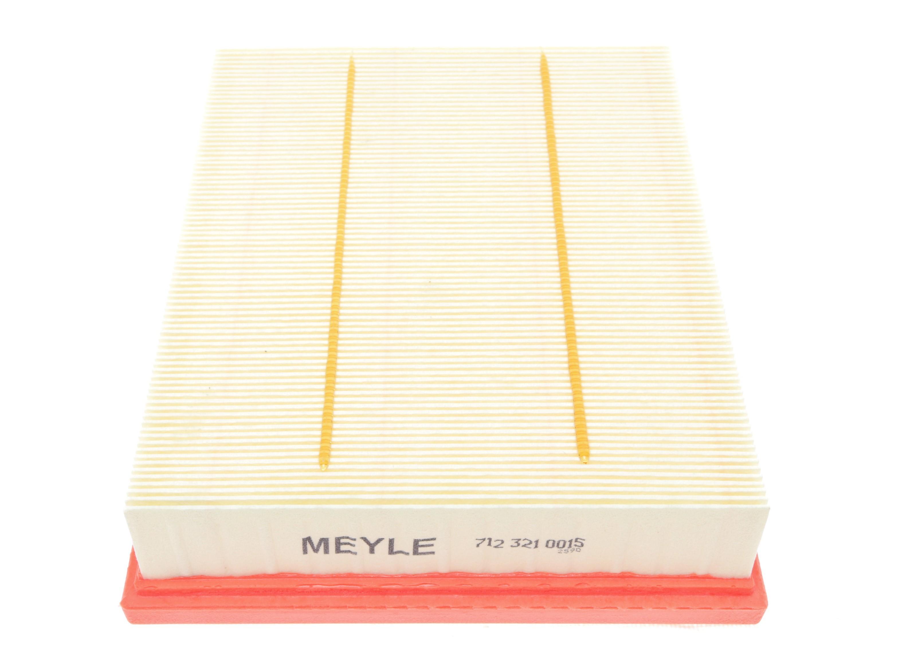 Фільтр повітряний Ford Galaxy/Mondeo V/S-Max/Ford USA Edge/Fusion 1.0-2.0D 12-