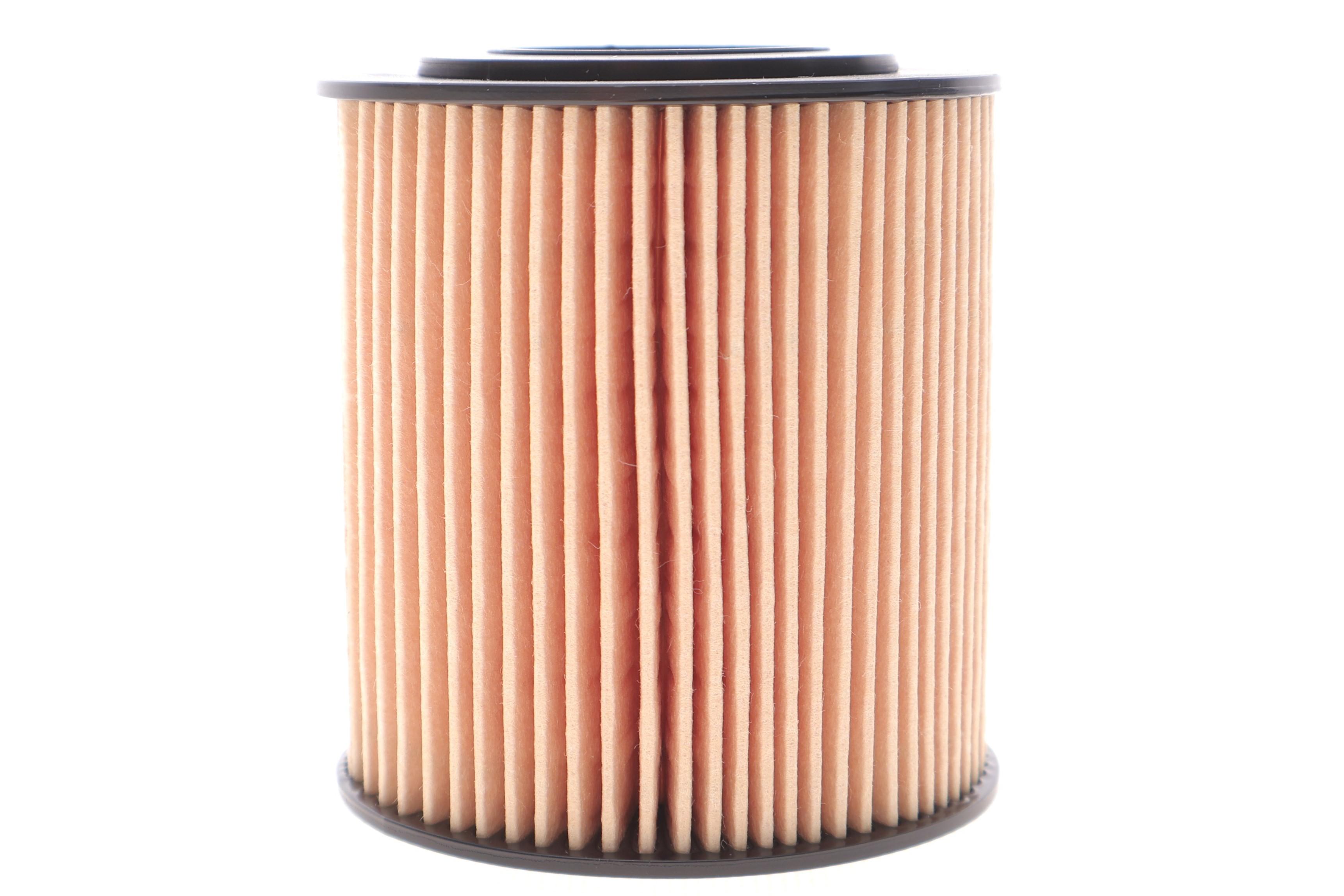 Фільтр масляний BMW 3 (E46/E90) /5 (E60) 1.6/2.0/1.8/2.0 N42/N43/N45/N46