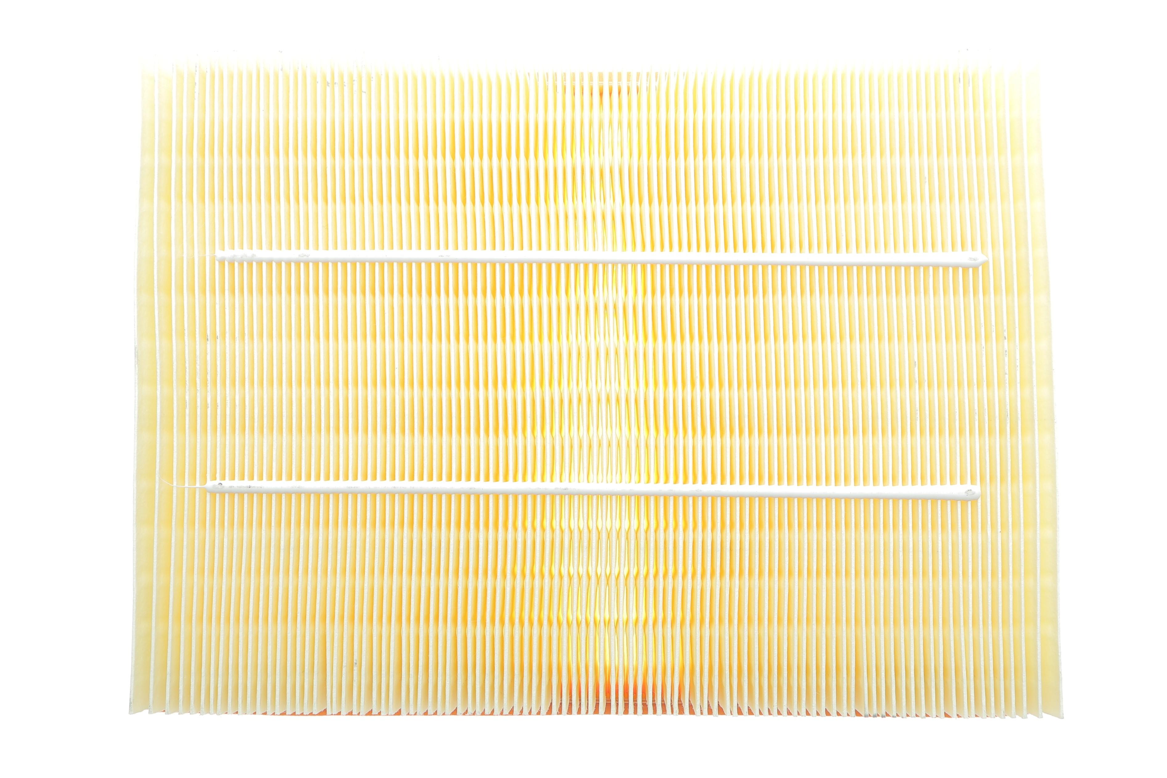 Фільтр повітряний Land Rover Discovery/Range Rover Sport 2.7-3.0TD/4.0/4.4 04-/Range Rover 3.0TD 12-