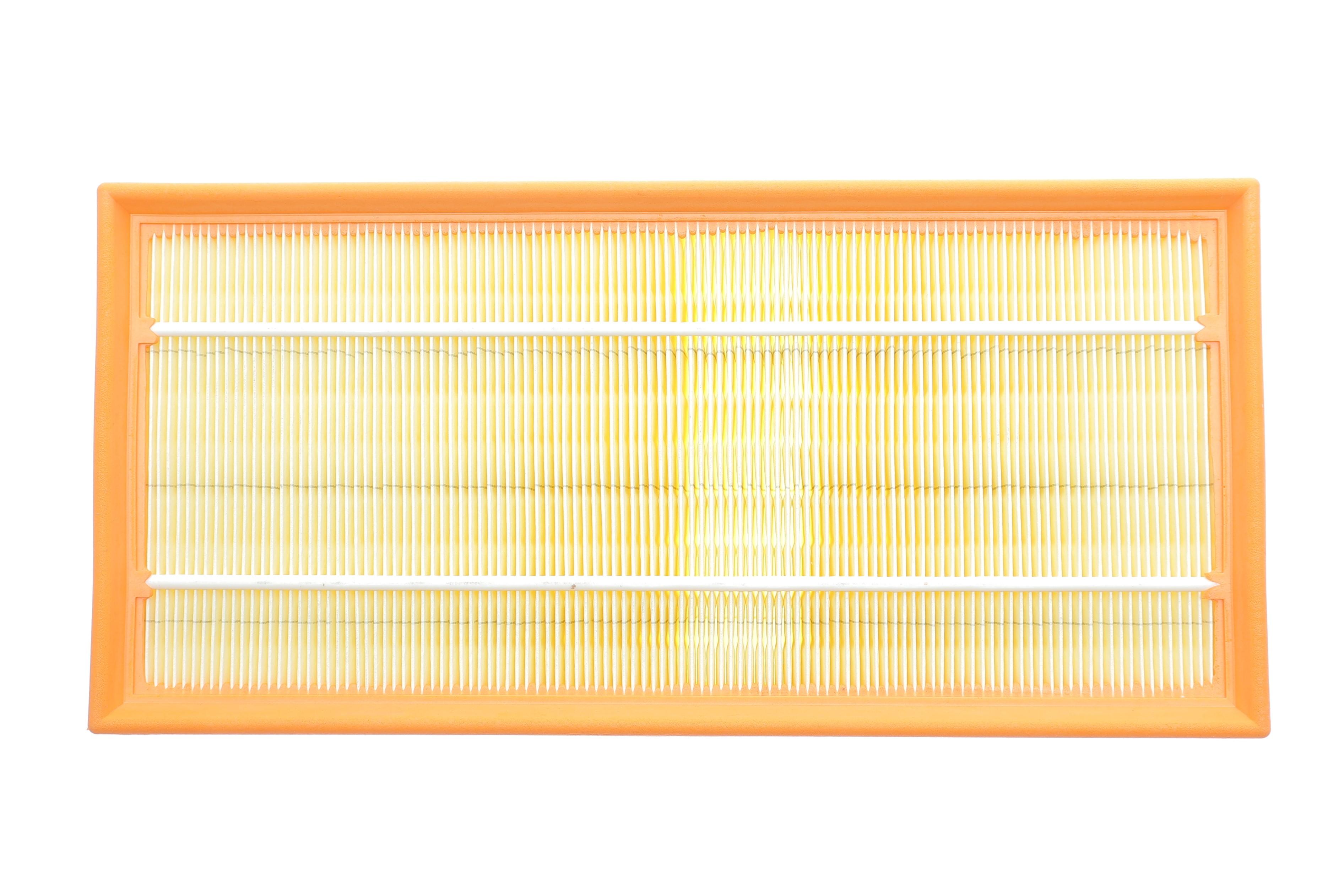 Фільтр повітряний Land Rover Discovery 2.0Td/3.0D/3.0/5.0/Range Rover/Sport 3.0/D/TD/4.4D/5.0 09-