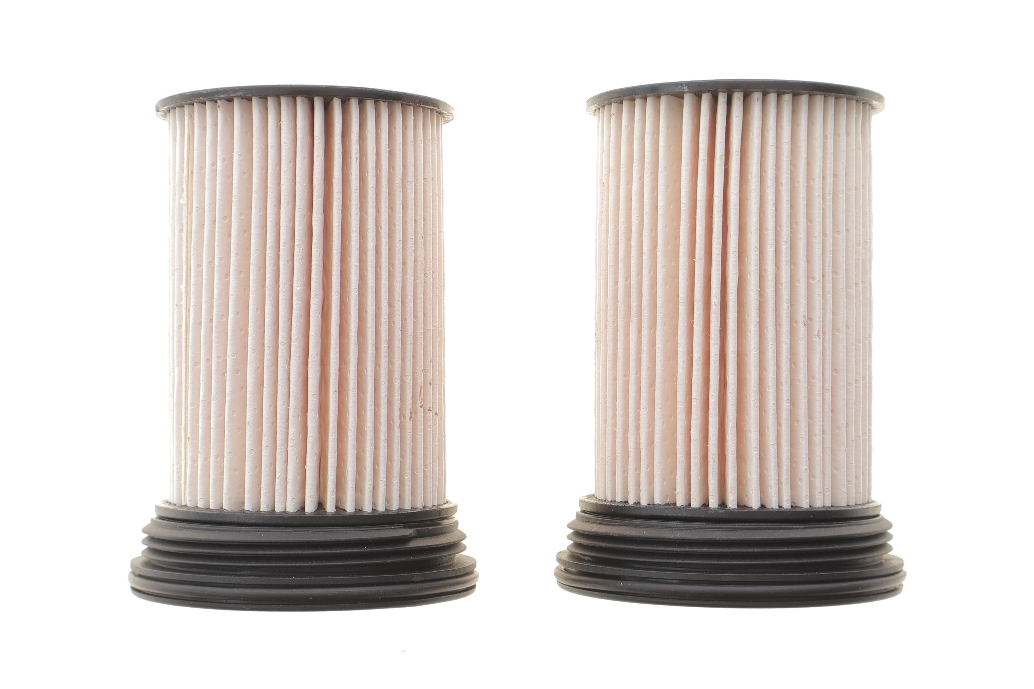 Фільтр паливний Chevrolet Captiva 2.2D 4WD 11-/Opel Antara 2.0/2.2 CDTi 10- (к-кт)