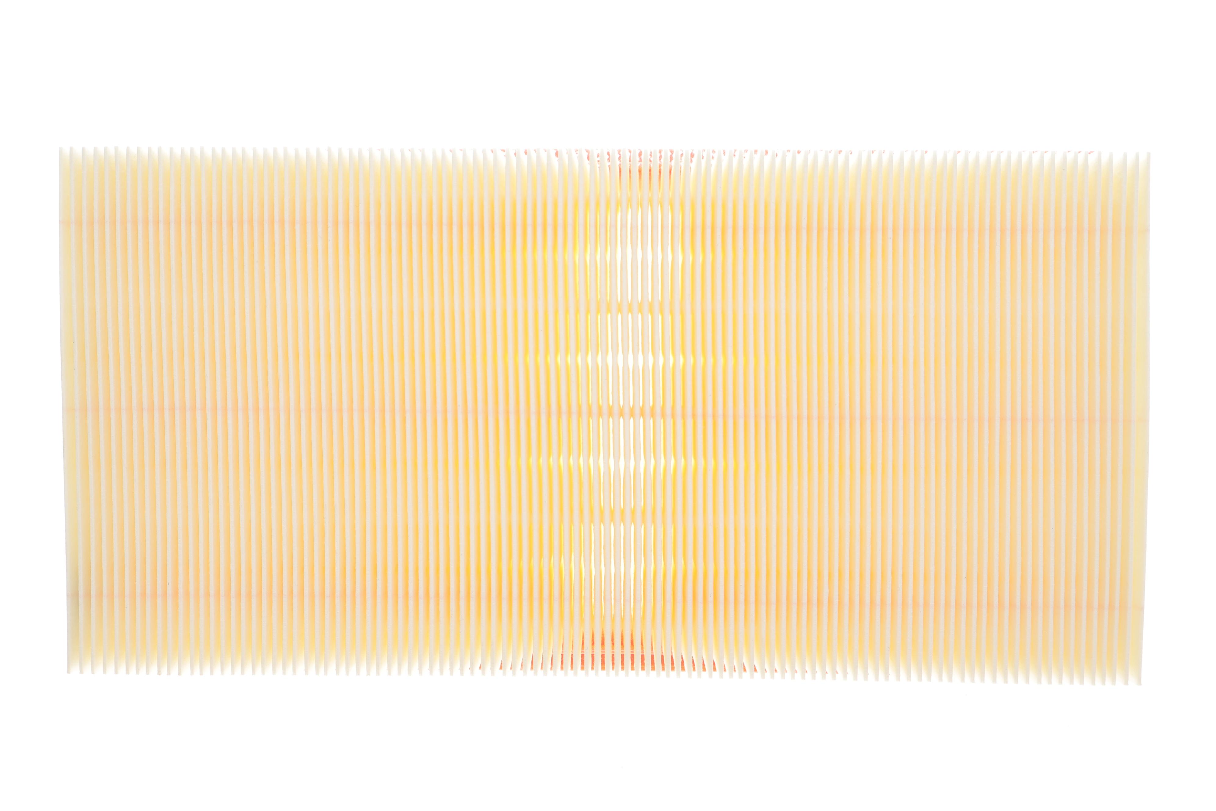 Фільтр повітряний Skoda Fabia/VW Polo 1.2 12V 01-07