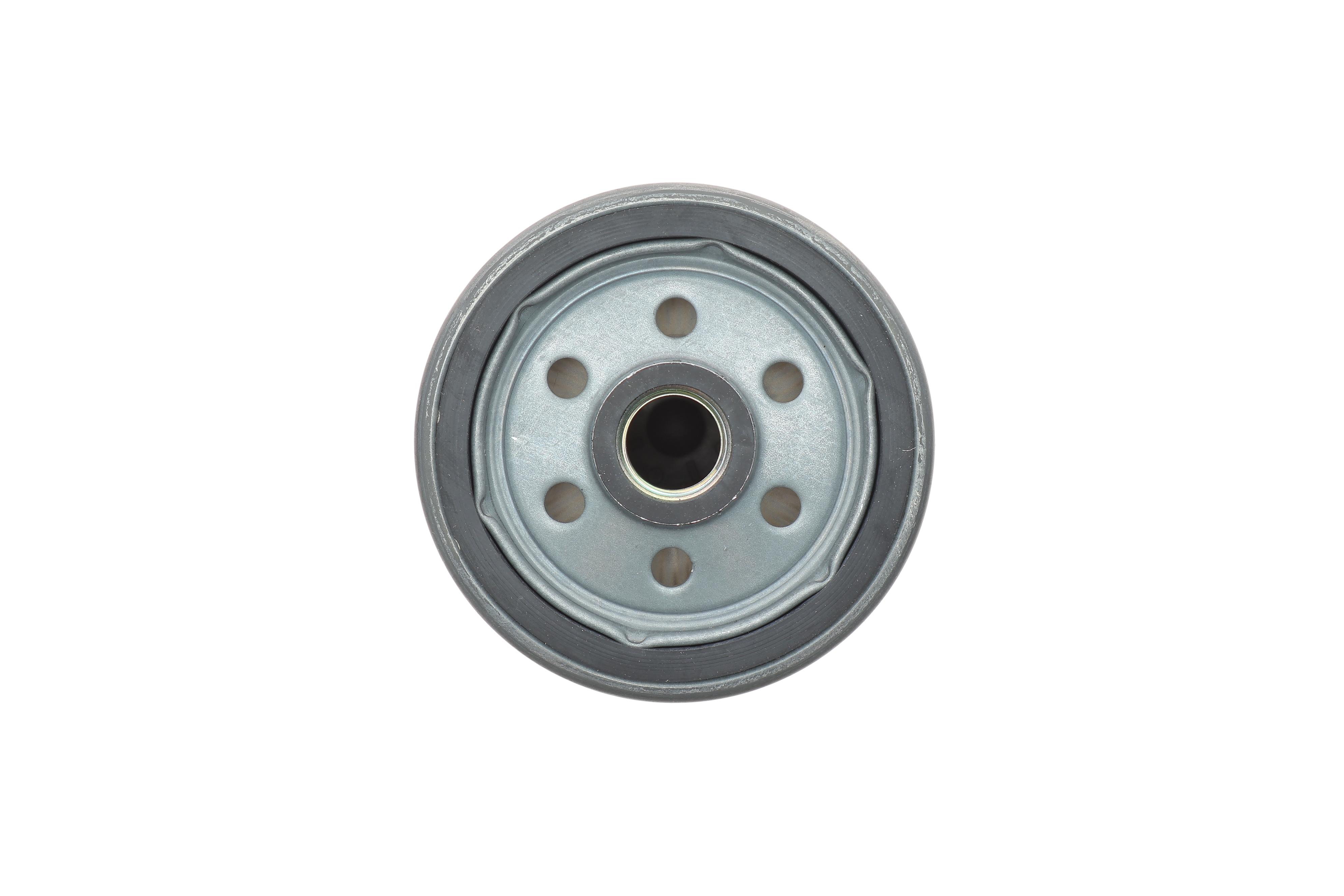 Фільтр паливний DAF 65 CF/95 XF -06