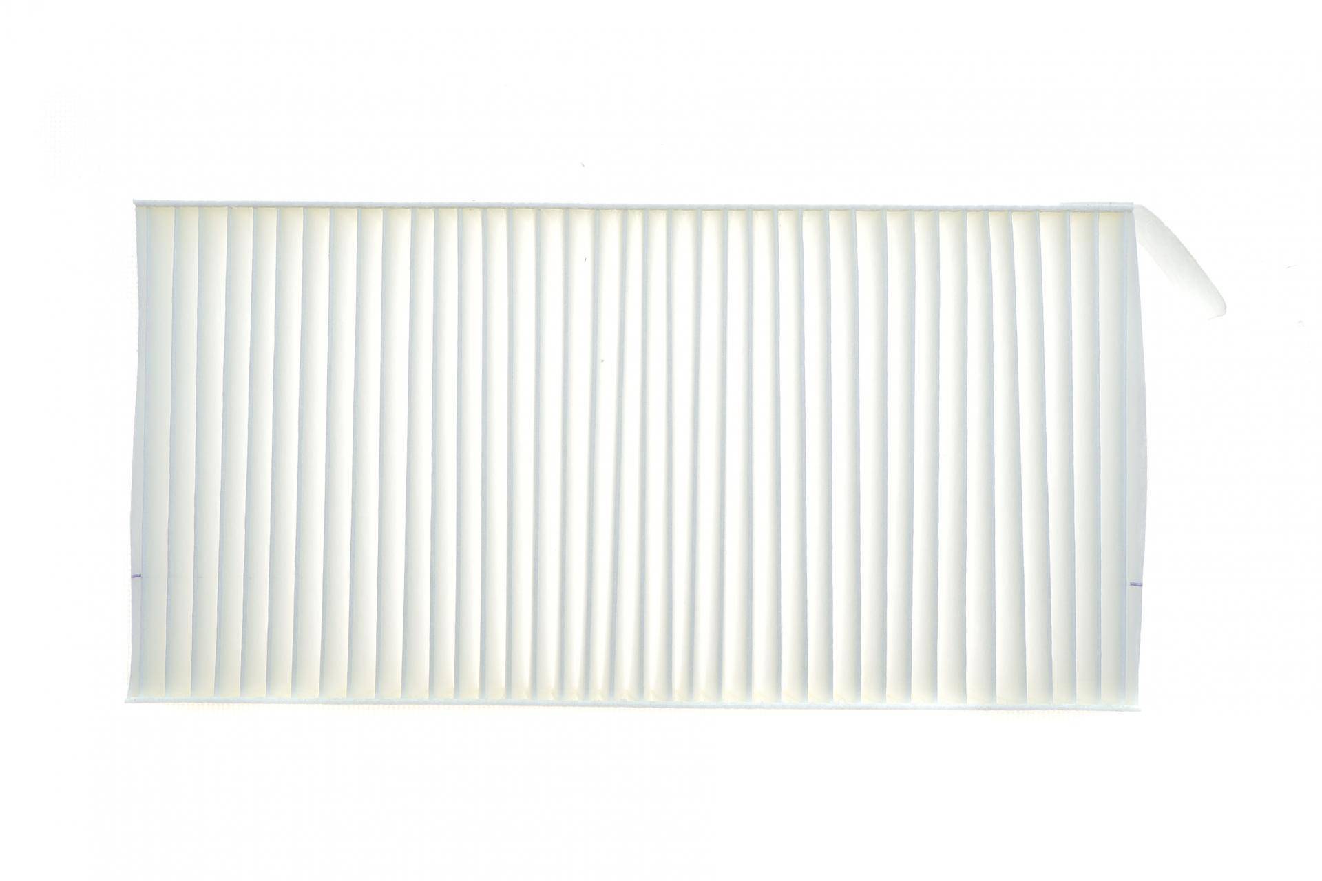 Фільтр салону Renault Laguna III 07- (к-кт 2 шт.)