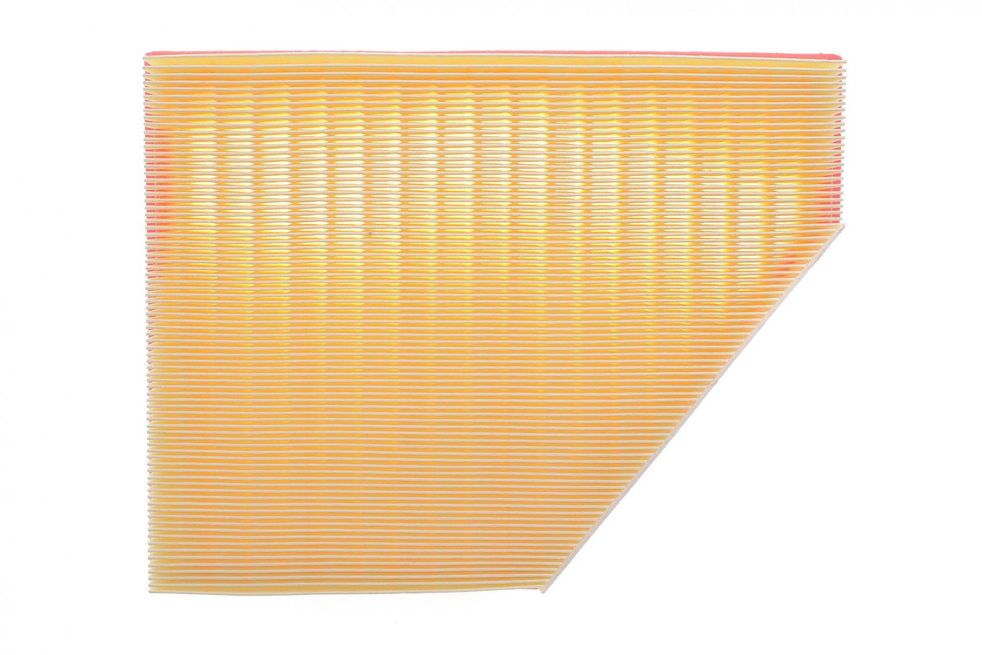 Фільтр повітряний BMW X5 (E70) 4.8i 07-13