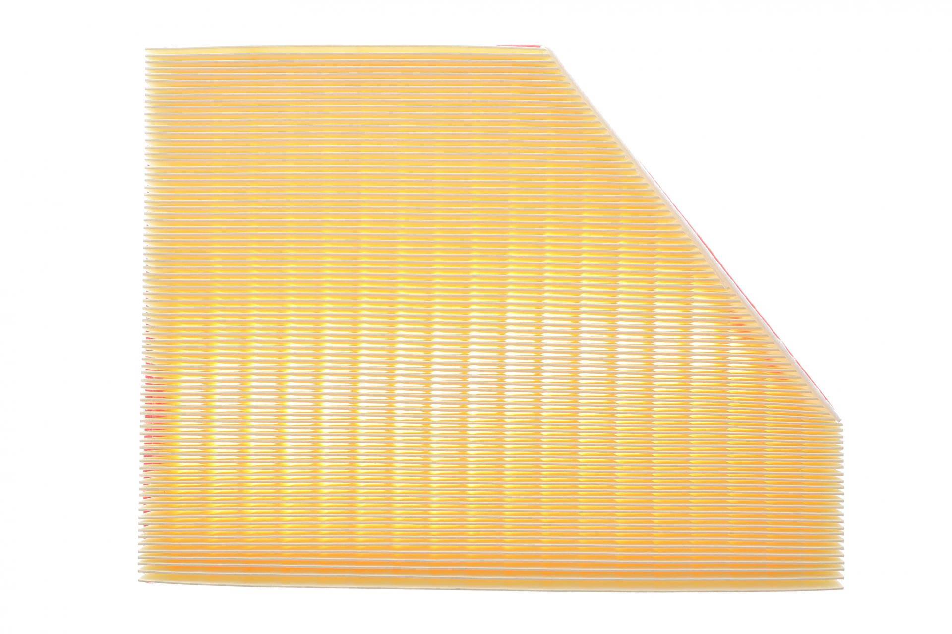 Фільтр повітряний BMW X5 (E70) 07-13