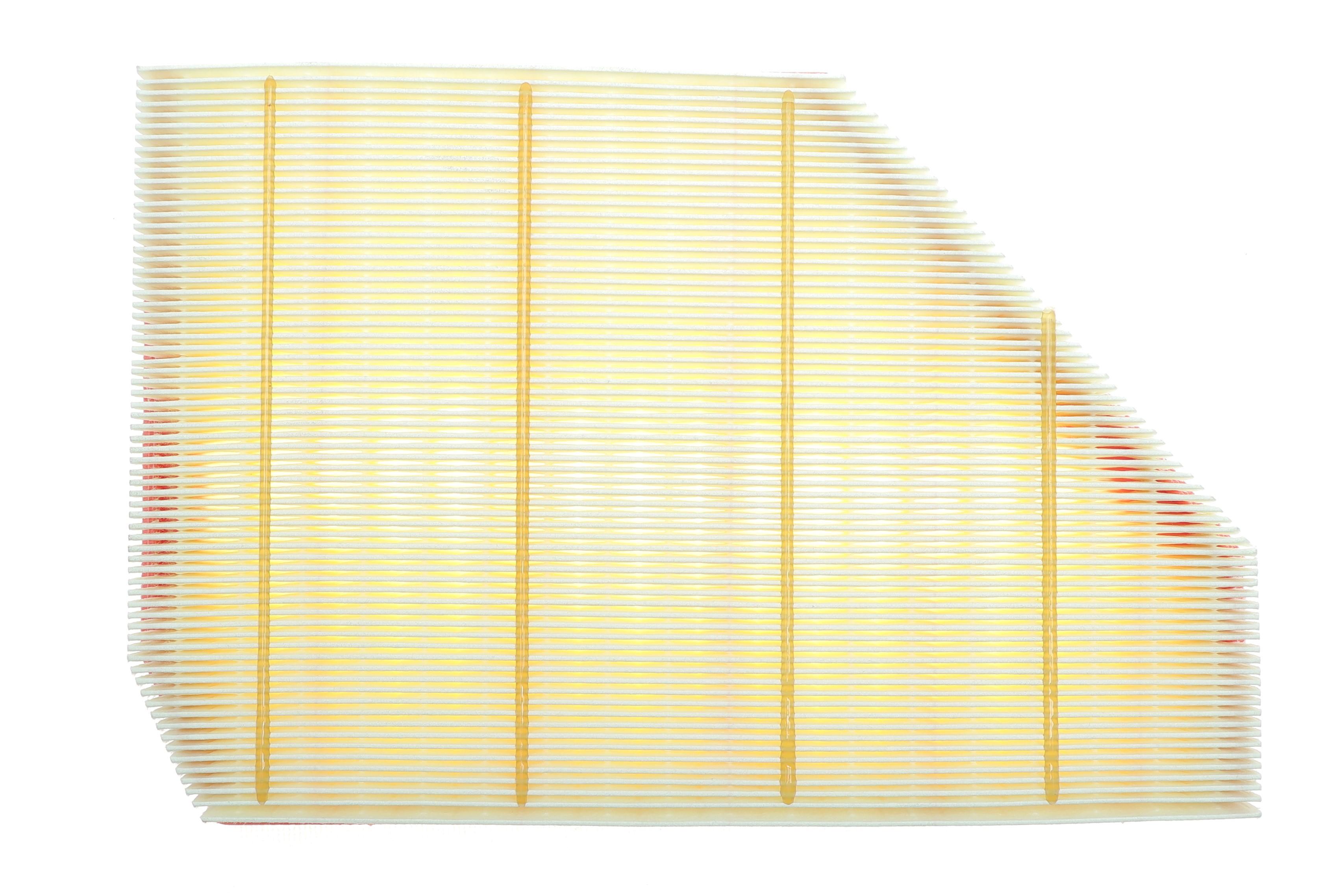 Фільтр повітряний BMW X5 (G05/F95)/X6 (G06/F96) 4.4i (S63) 19- (5-8 циліндр)