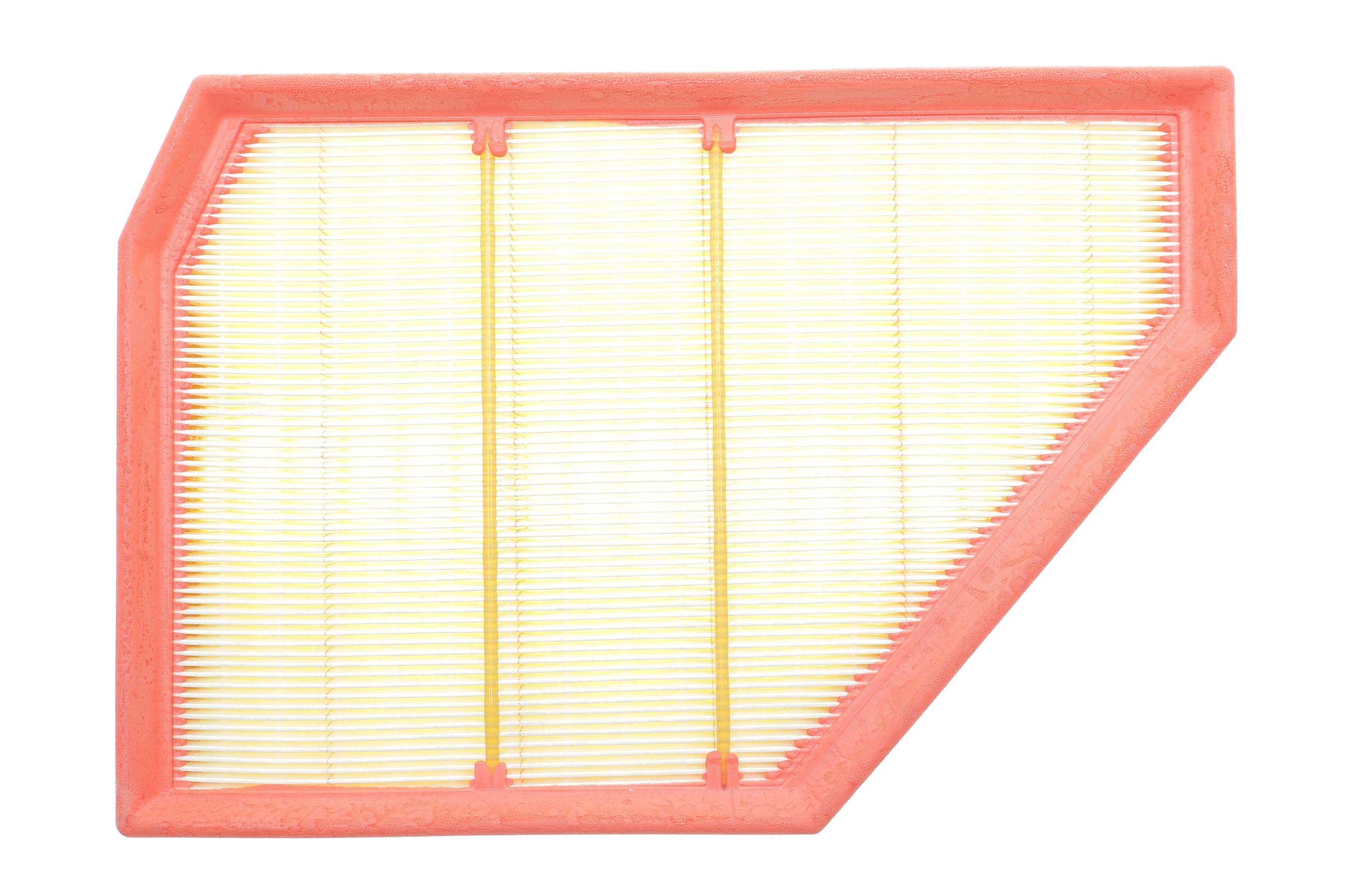 Фільтр повітряний BMW X5 (G05/F95)/X6 (G06/F96)/X7 (G07) 4.4i (S63/S68)/XM (G09) S65 19- (5-8 циліндр)