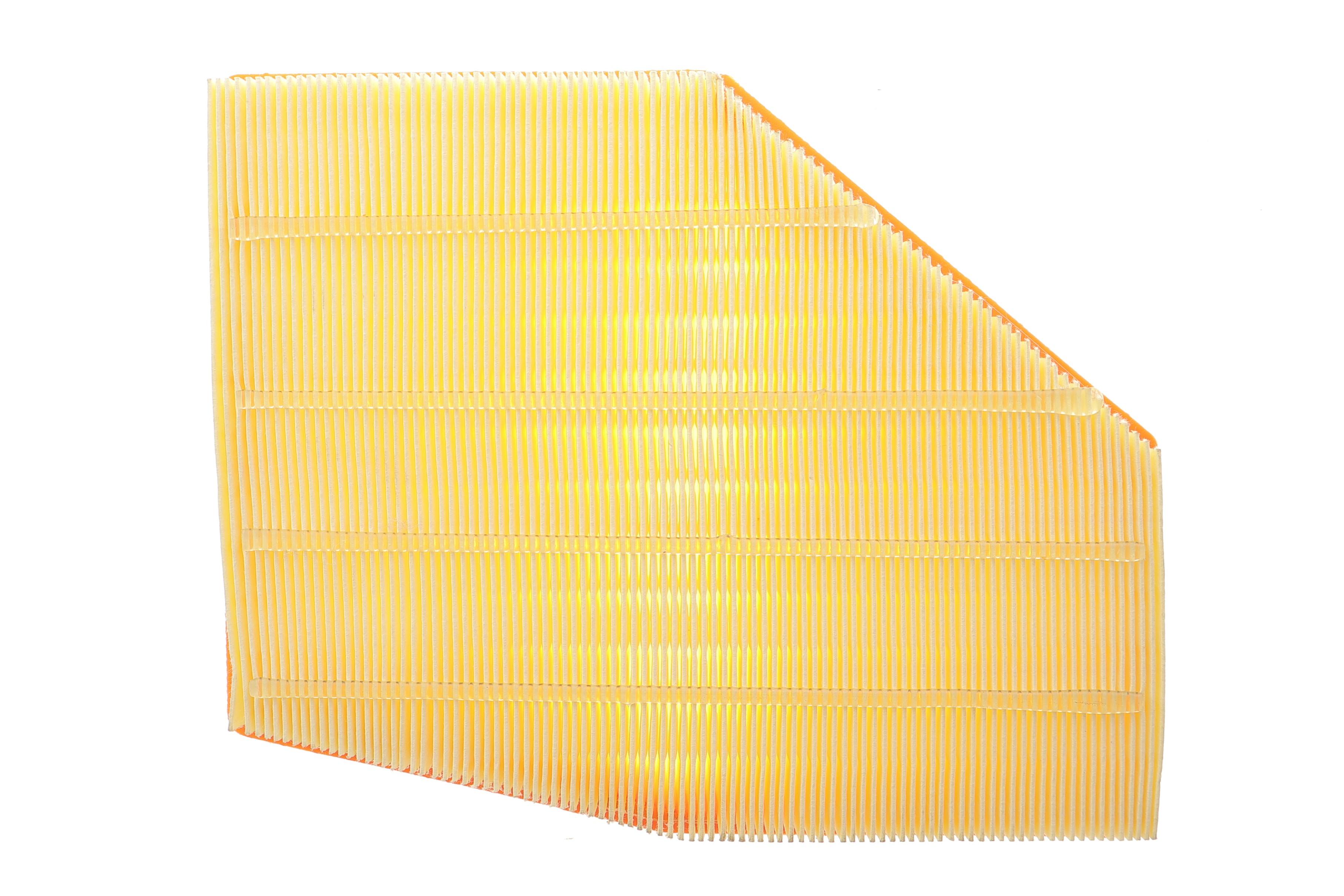 Фільтр повітряний BMW 7 (G11)/M5 (G30) 15- (N63B) (L)