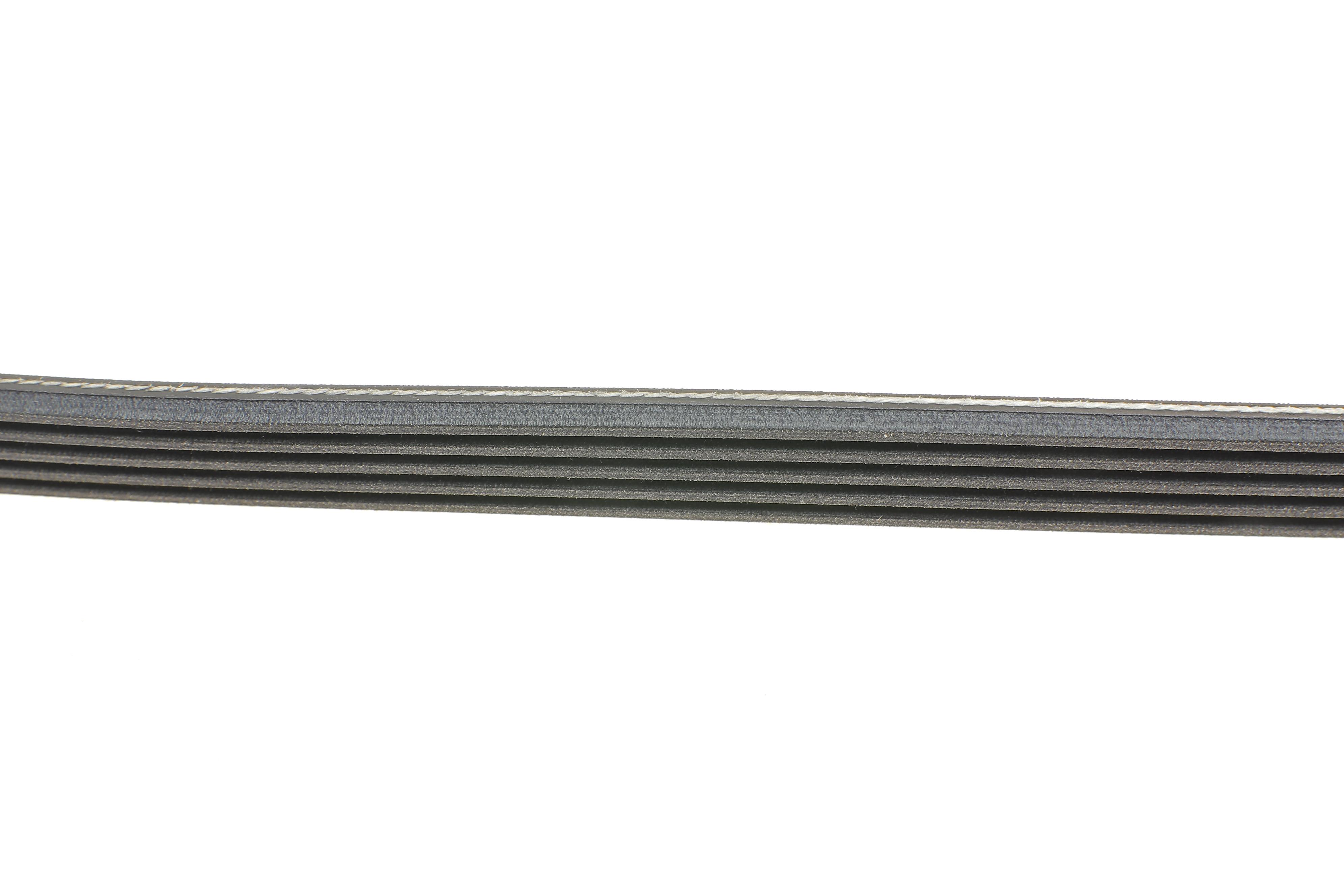 Ремінь генератора Renault Kangoo/Megane/Laguna 1.4/1.5 dCi/1.6 03-/Audi A6 4.2FSI 06-11