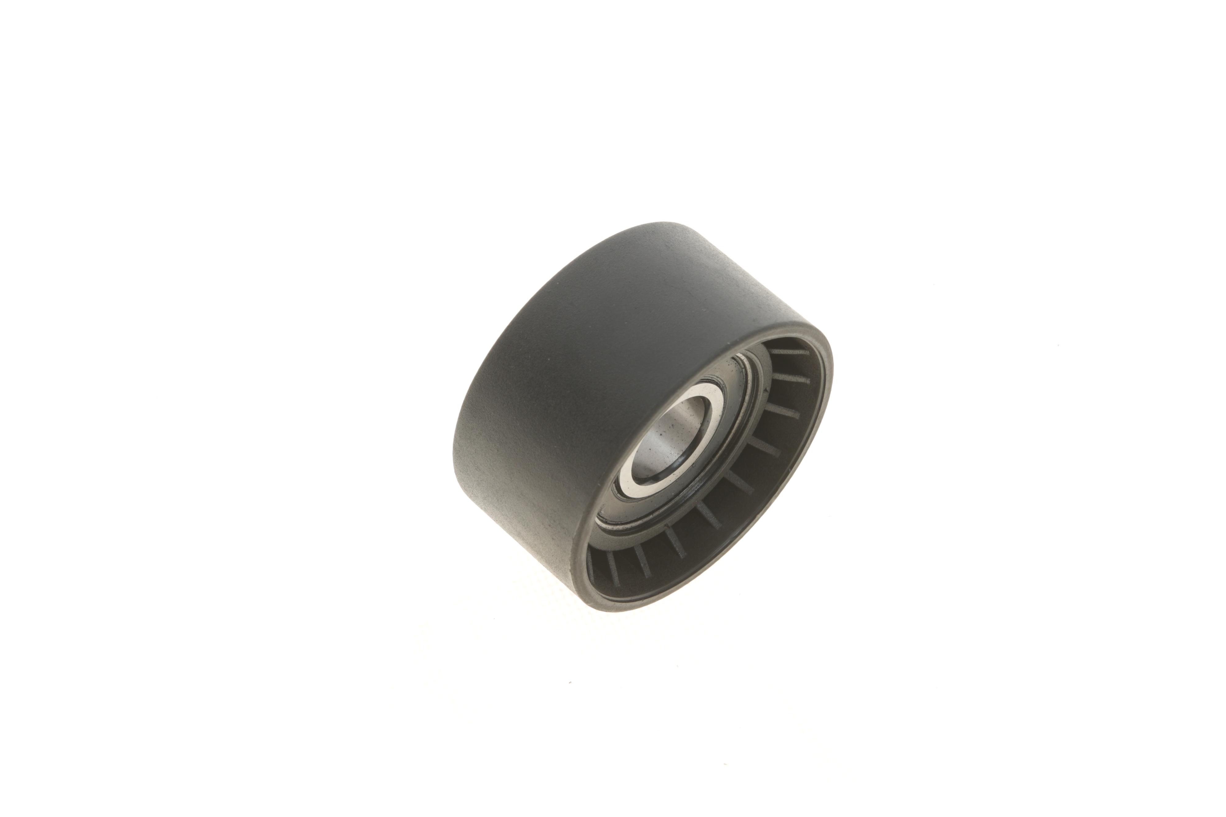 Ролик генератора Renault Trafic/Master 1.9-2.5DI/dTi (паразитний) (60х31)